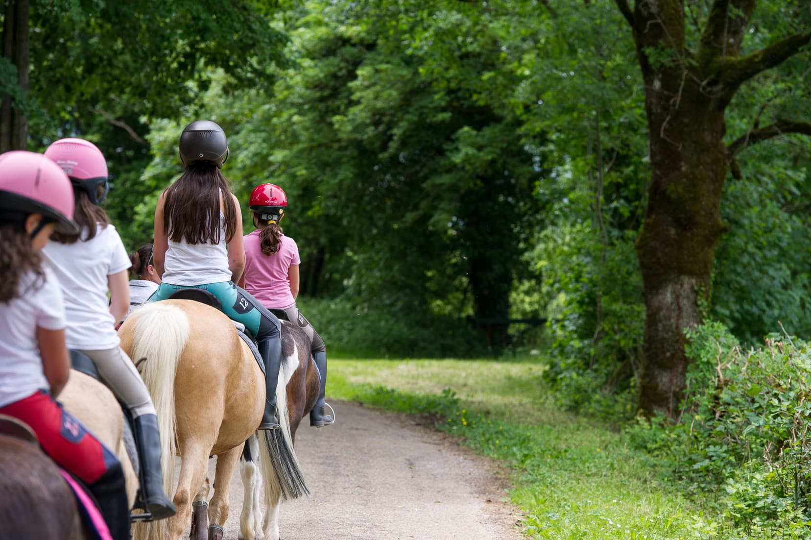 Printemps Izernore Equitation