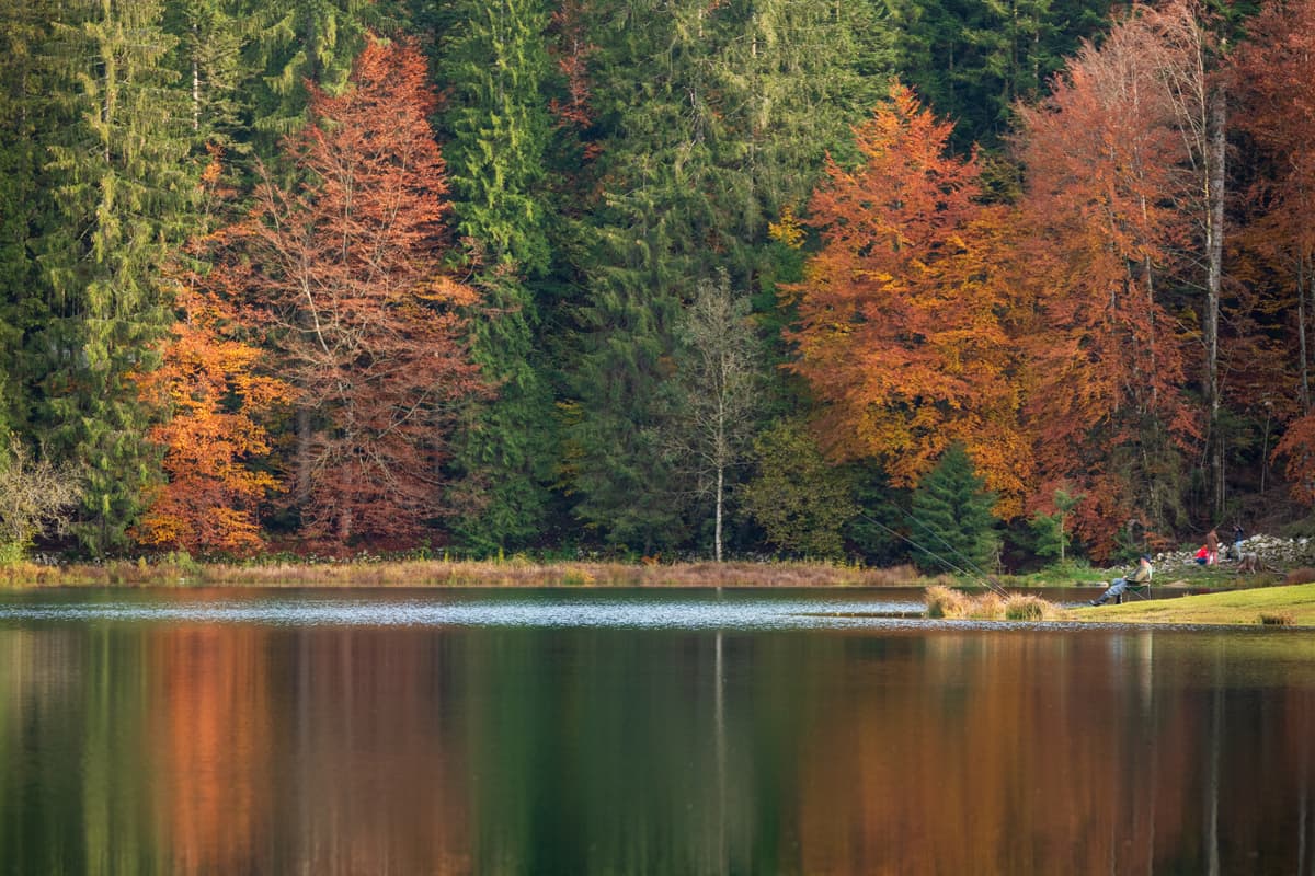 Pêche Lac Genin
