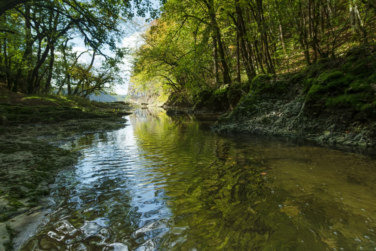 BainNature Cascade Charabotte Alabarine Plateau Hauteville