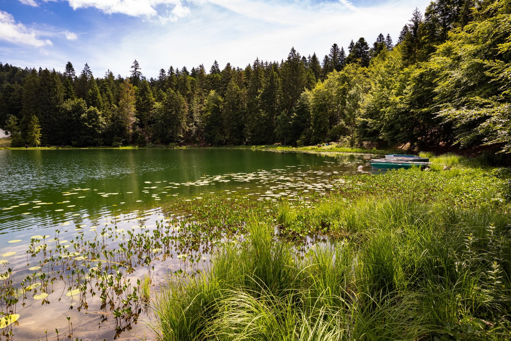 Lac Genin Charix