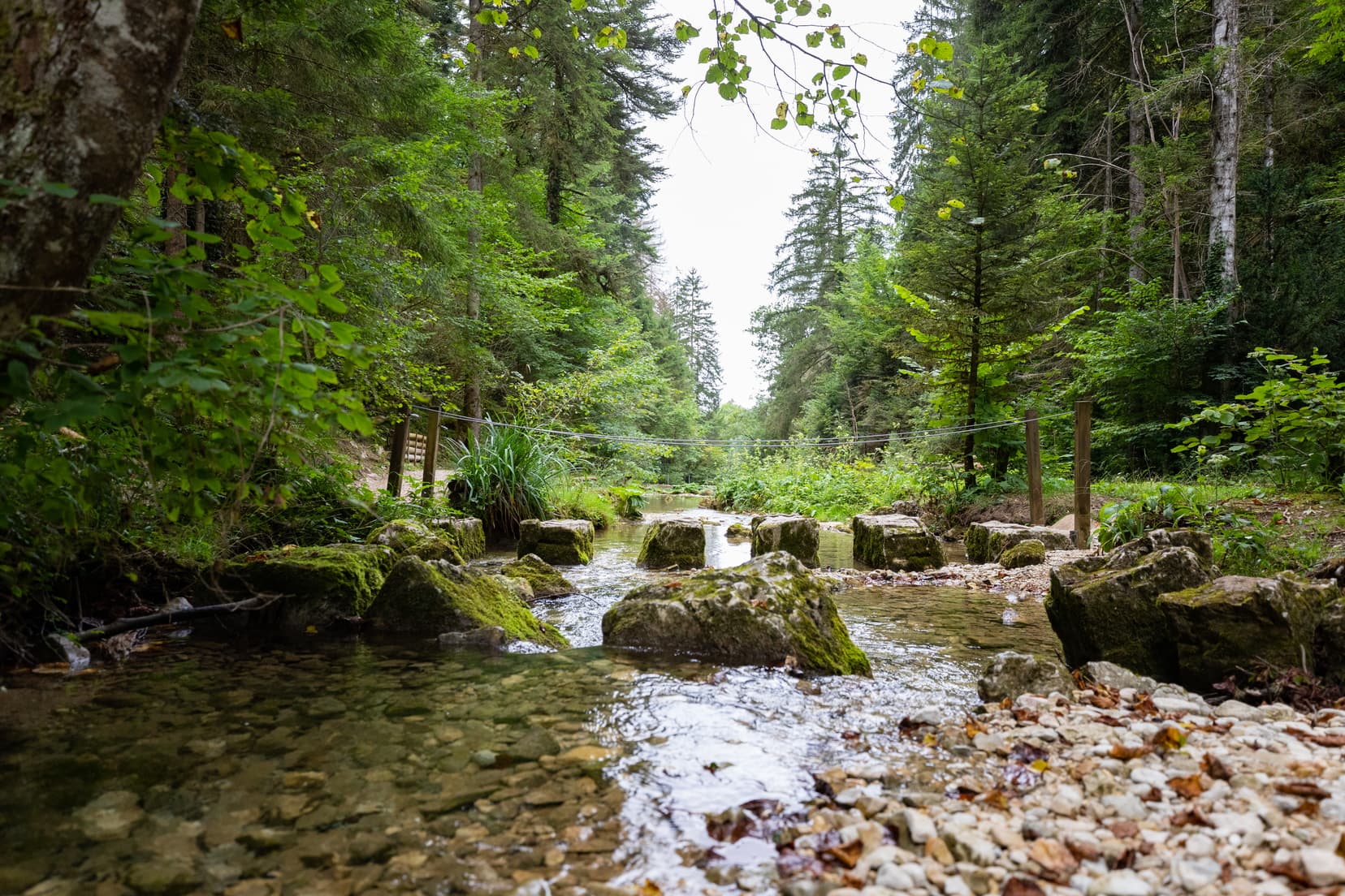 Sentier Sarsouille Oyonnax