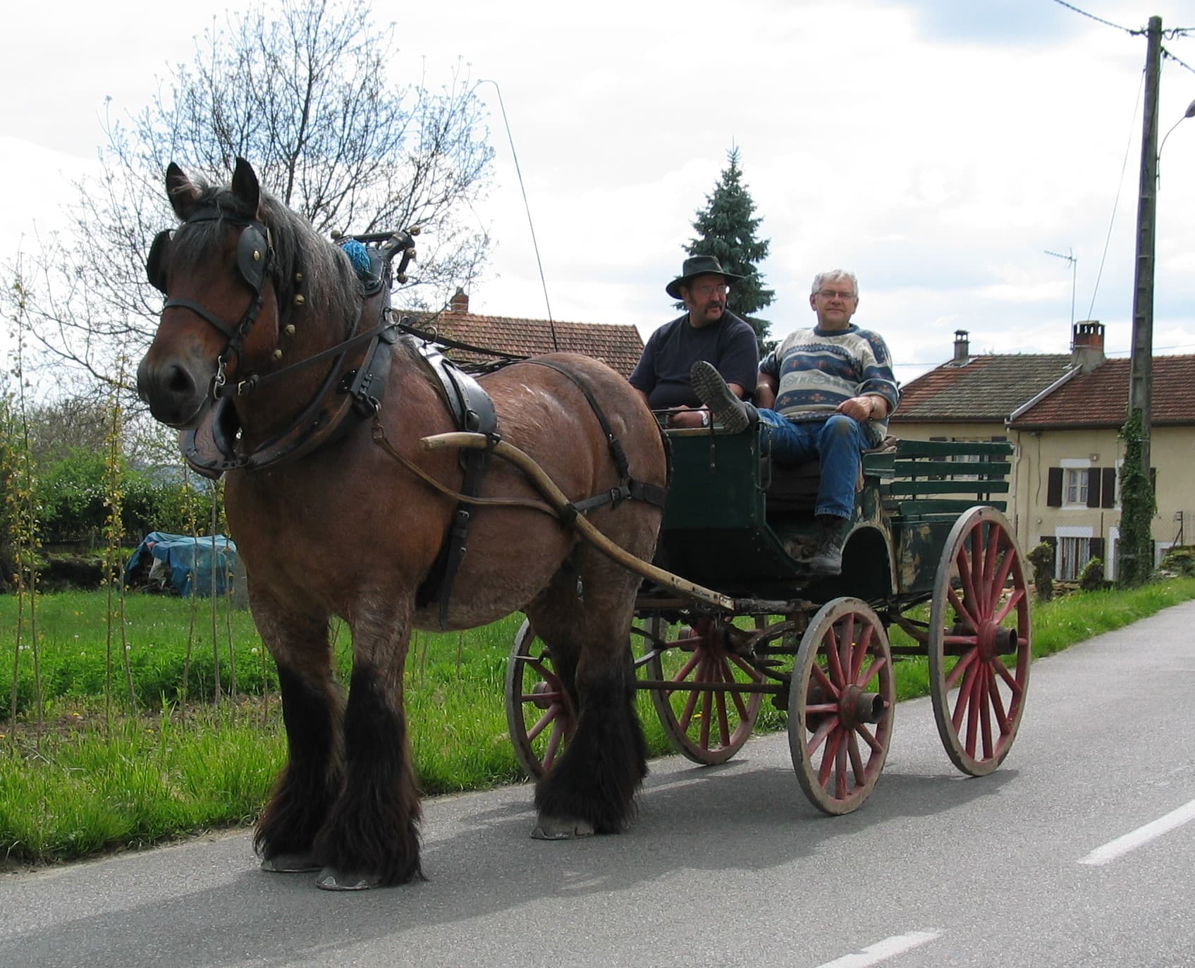 Caleche Et Cheval De Trait - panoramio