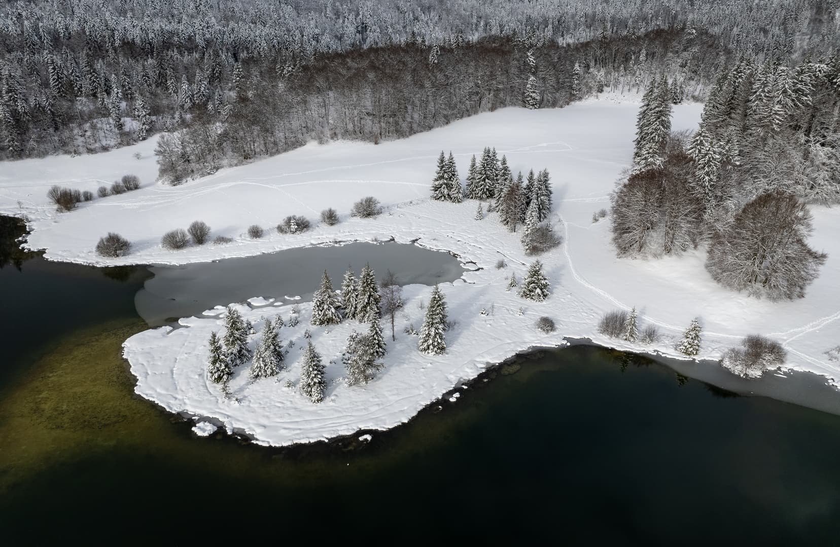 Lac Genin