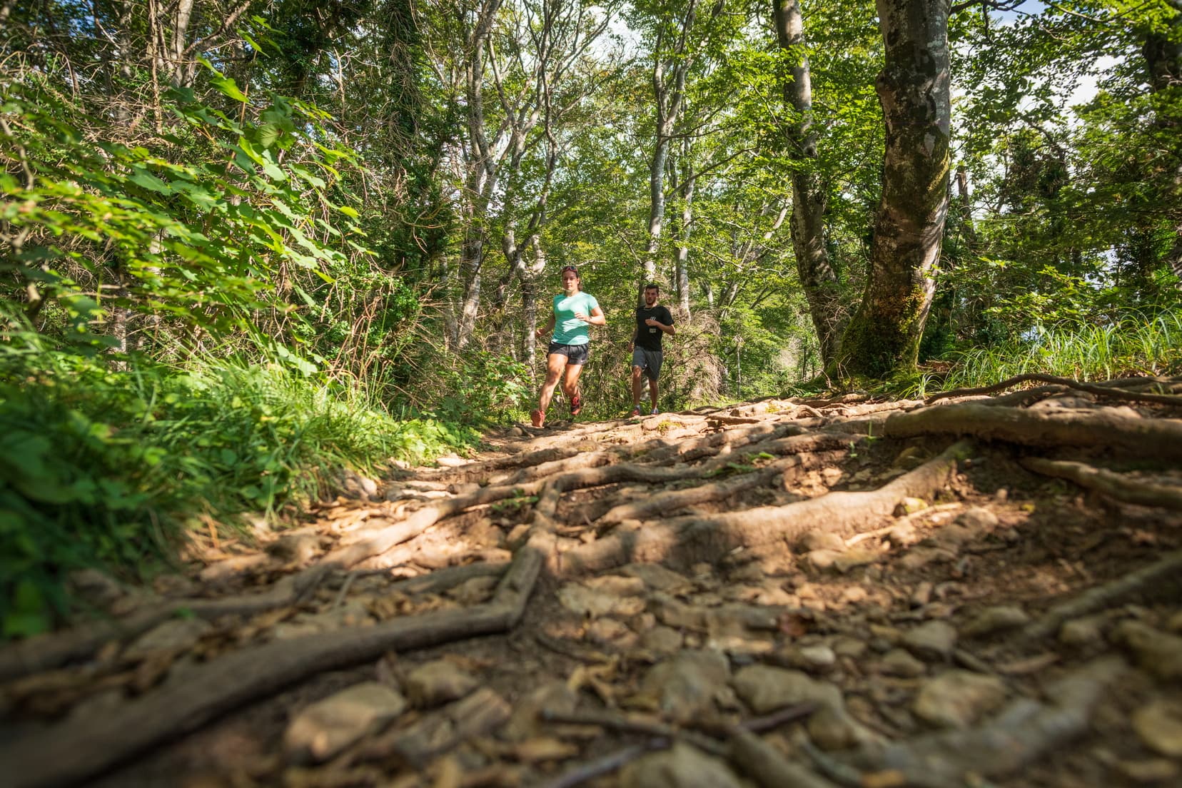 Trail Nantua hauteurs
