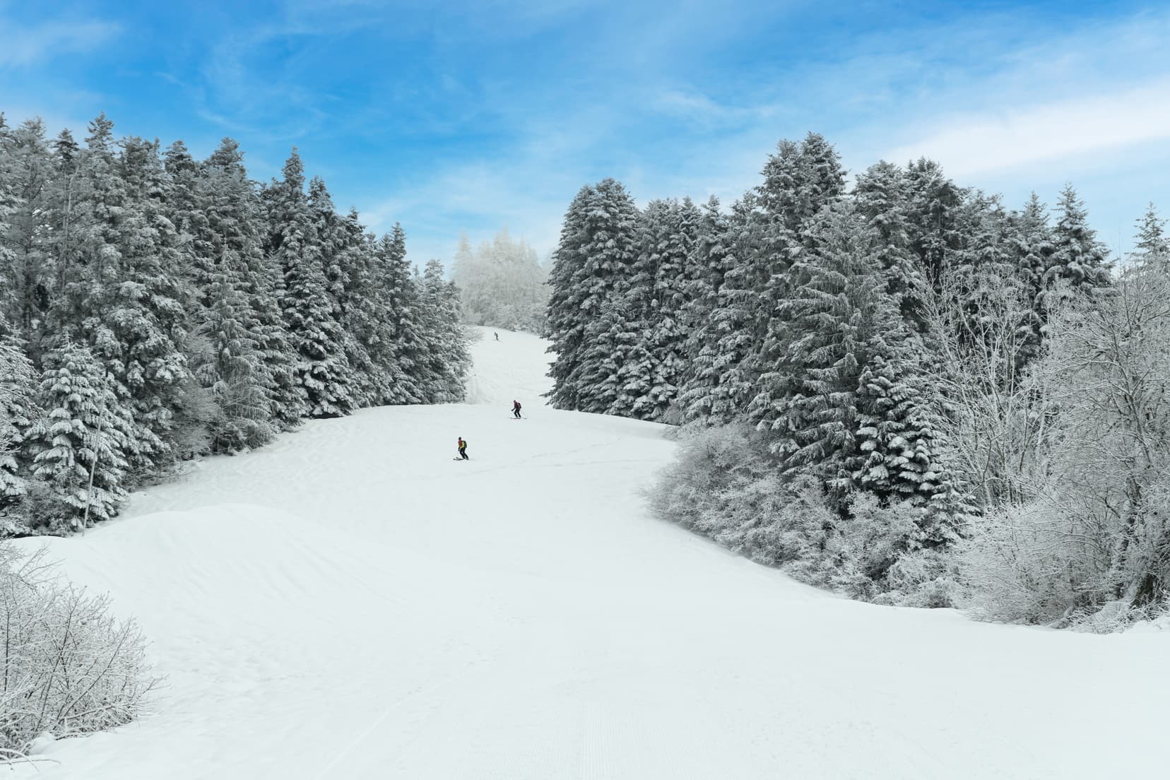 SkiAlpin TerreRonde PlateauHauteville