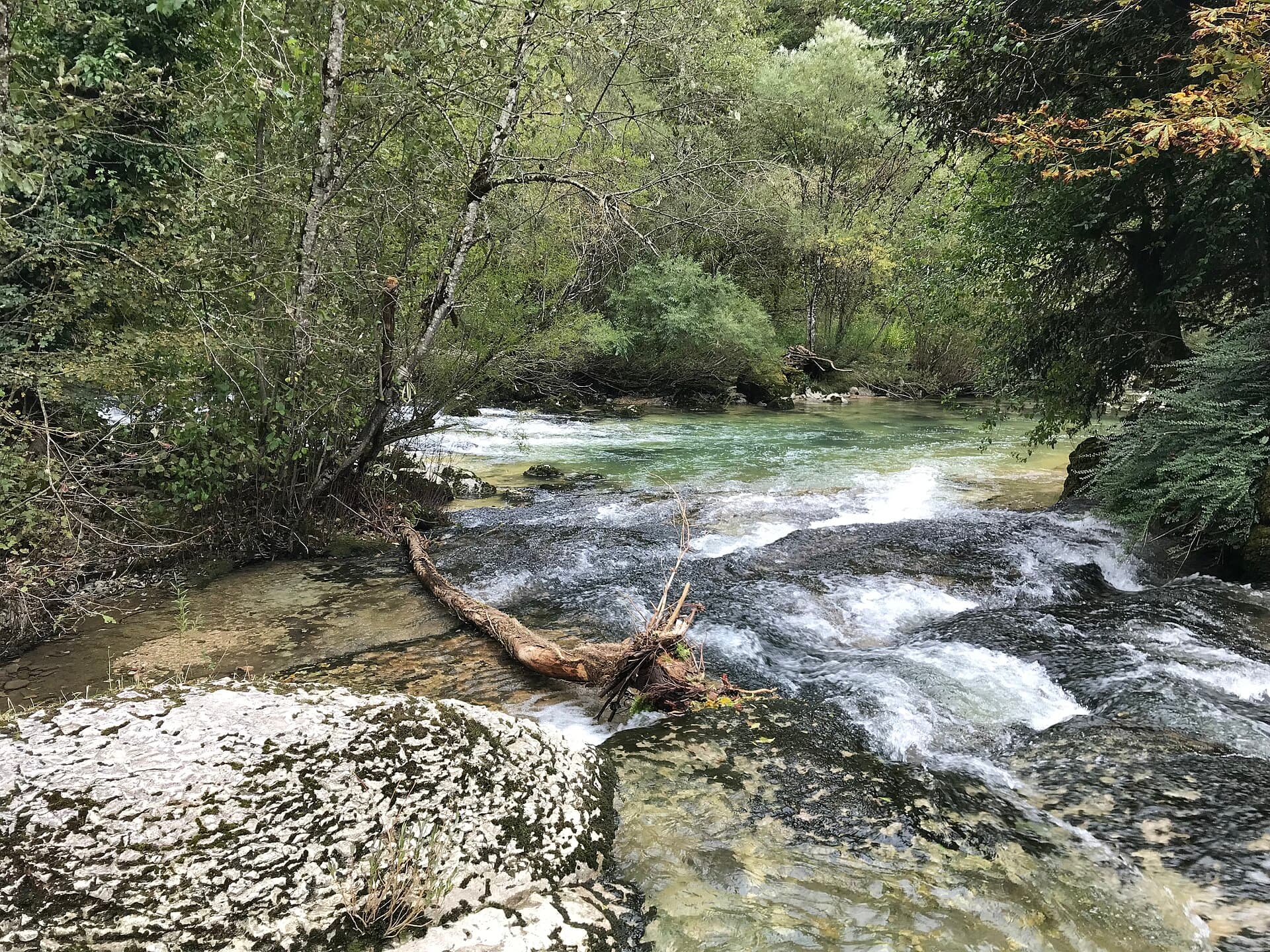 Confluence du Combet et de la Semine, Saint-Germain-de-Joux, 2024