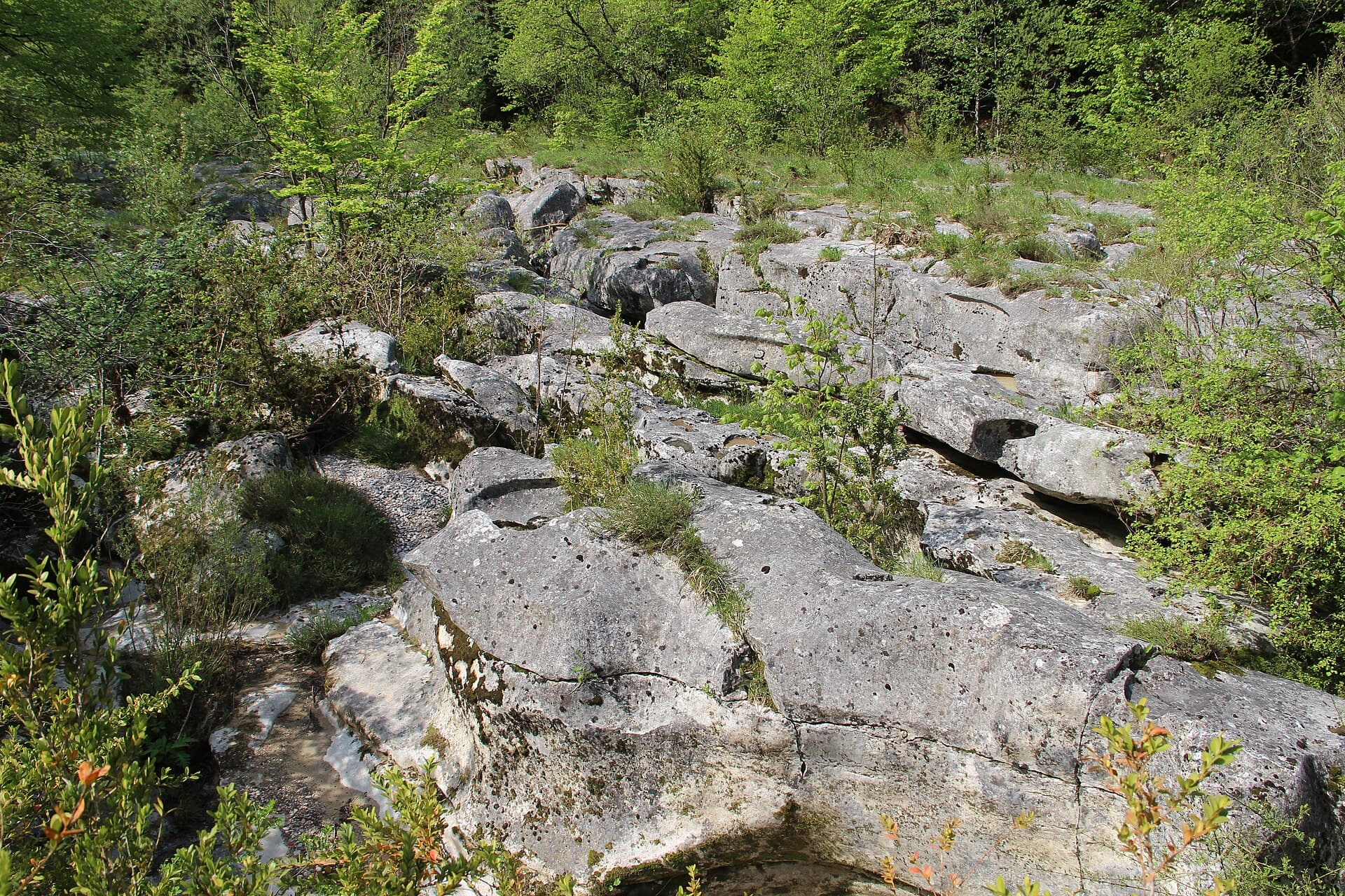 Pertes de la Valserine - panoramio (4)