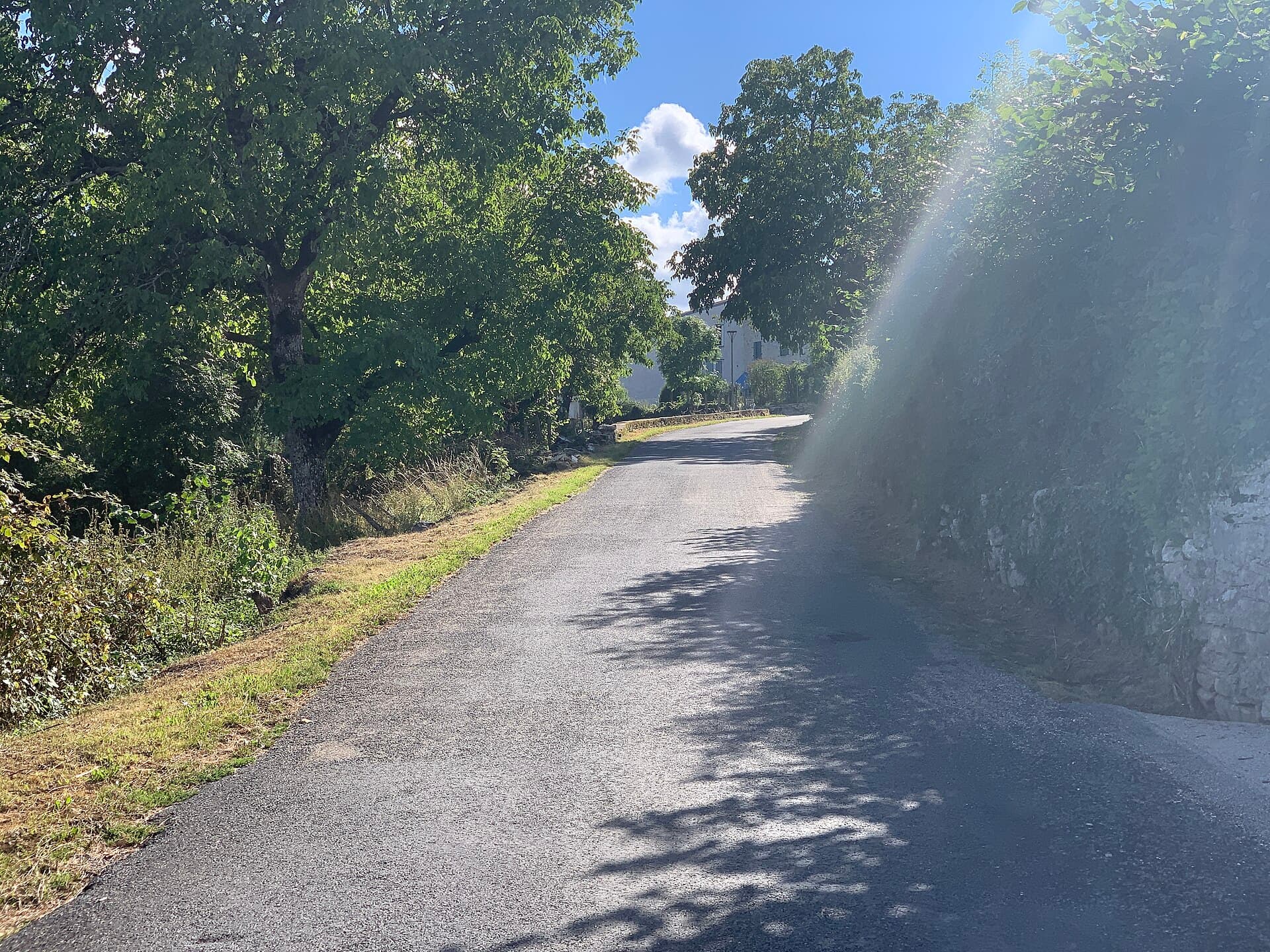 Route D11d - Sonthonnax Montagne - 2020-08-18 - 1