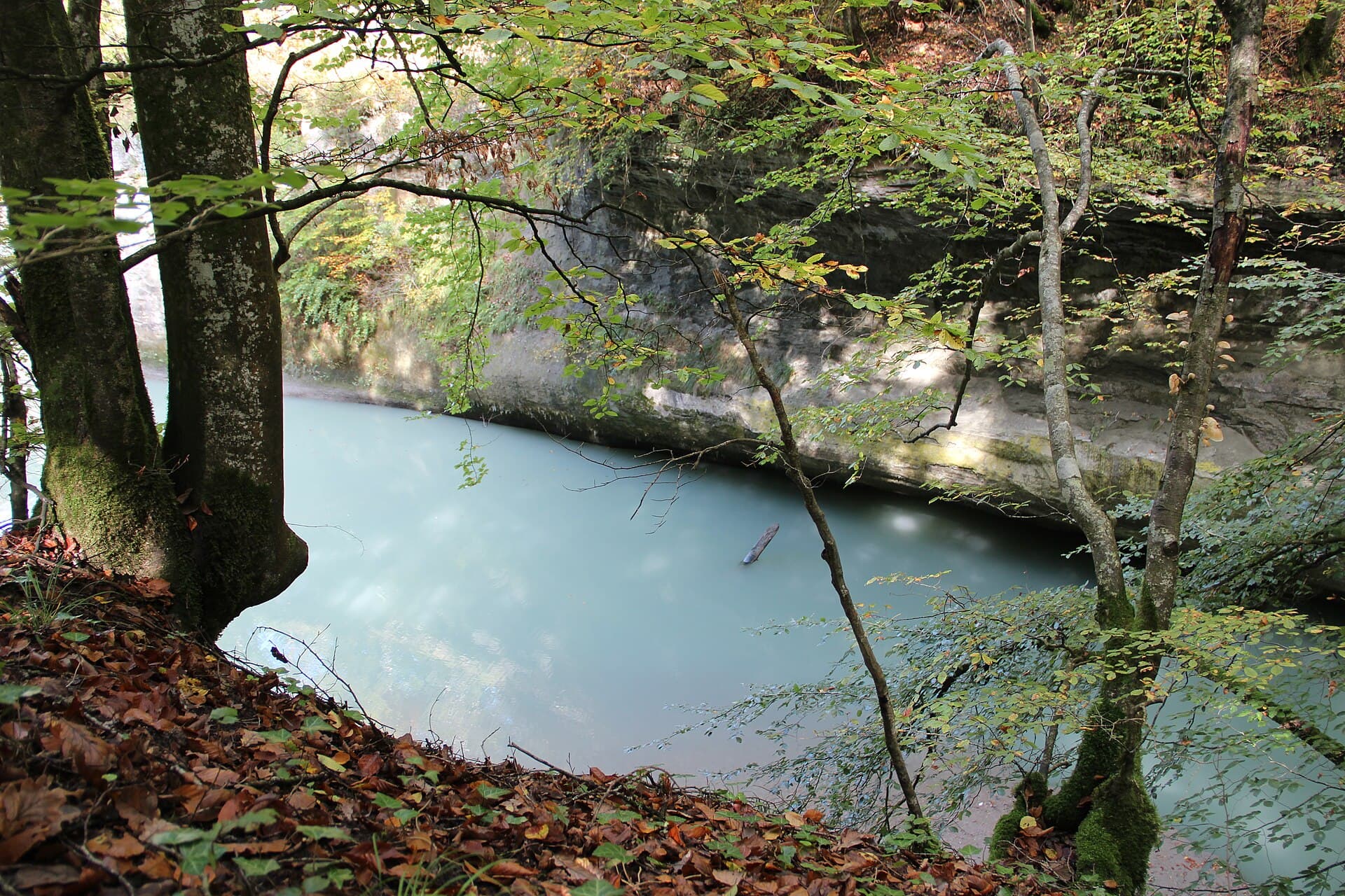 Tine de Parnant - panoramio (6)