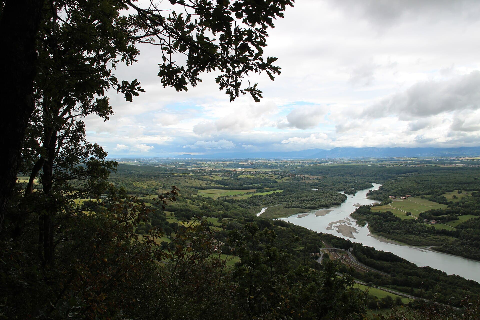 View on the Rhône - panoramio (7)