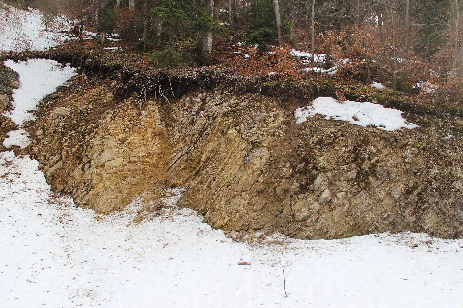 01170 Gex, France - panoramio (2)