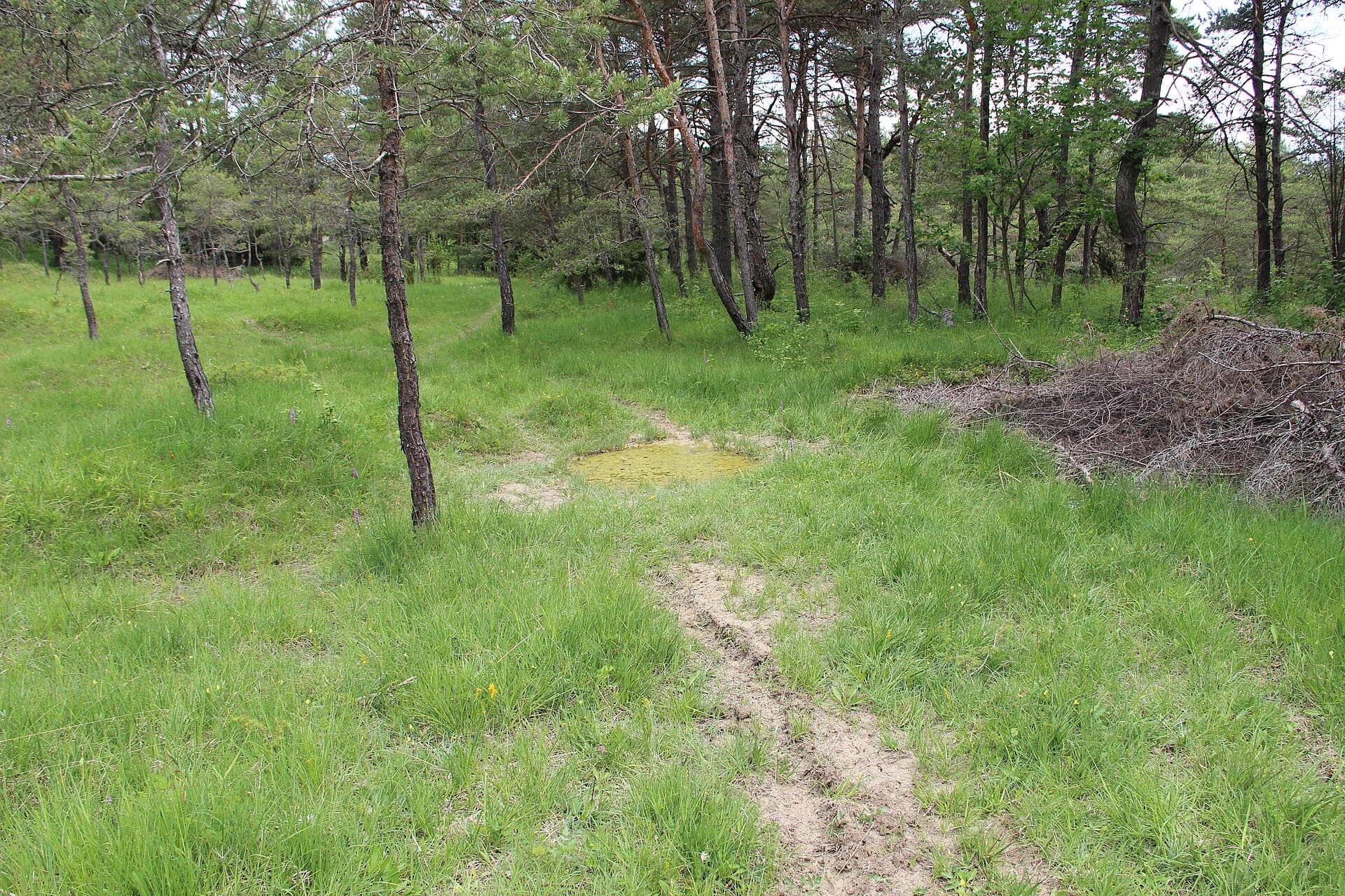 Teppes de la Repentance - panoramio (1)