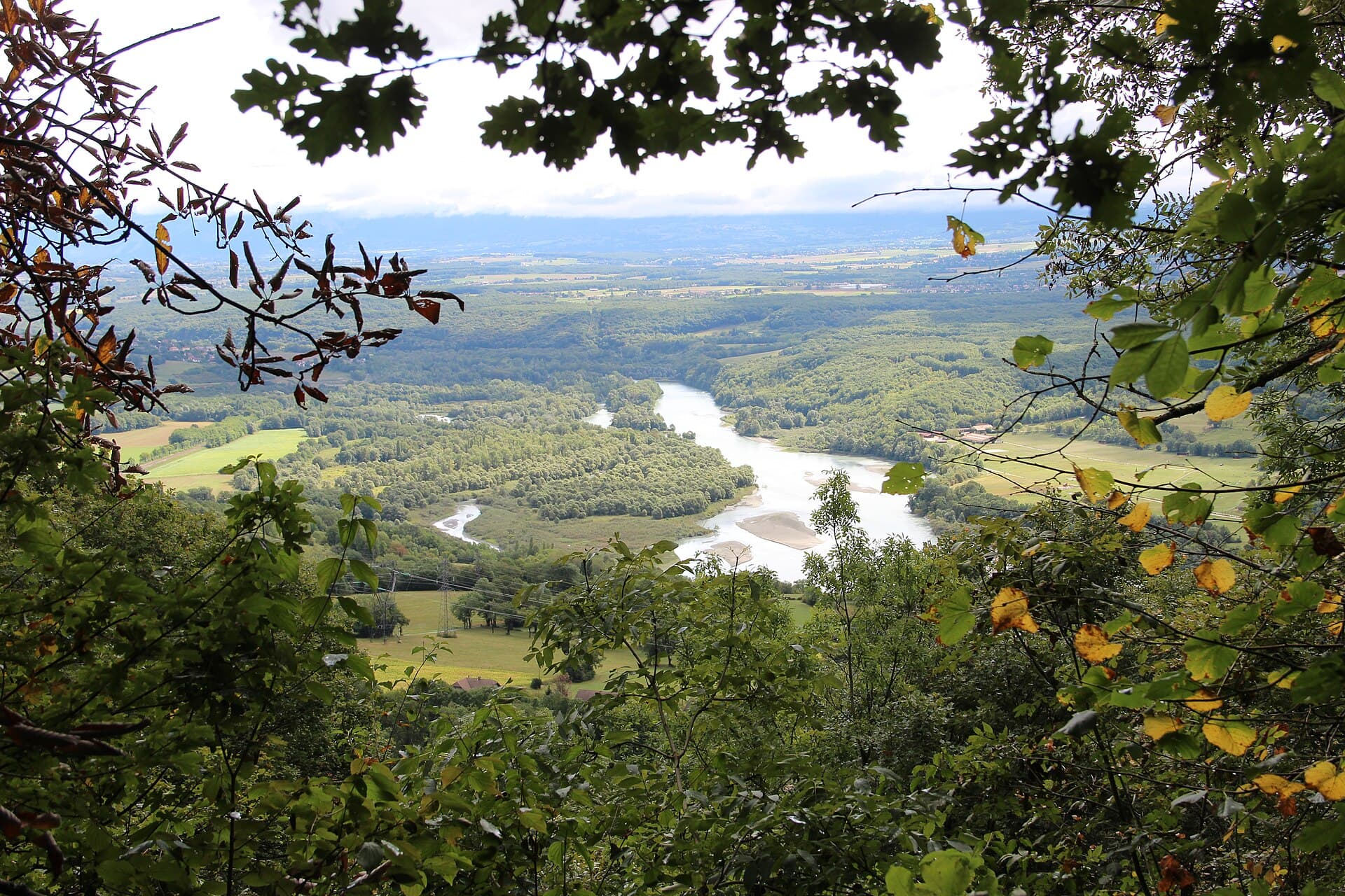 View on the Rhône - panoramio (6)