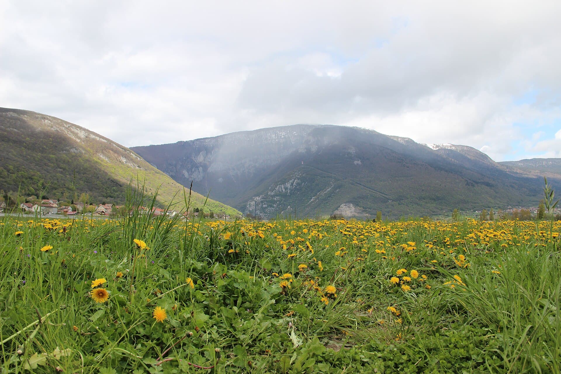 Crêt d'Eau behind Dandelion field - panoramio