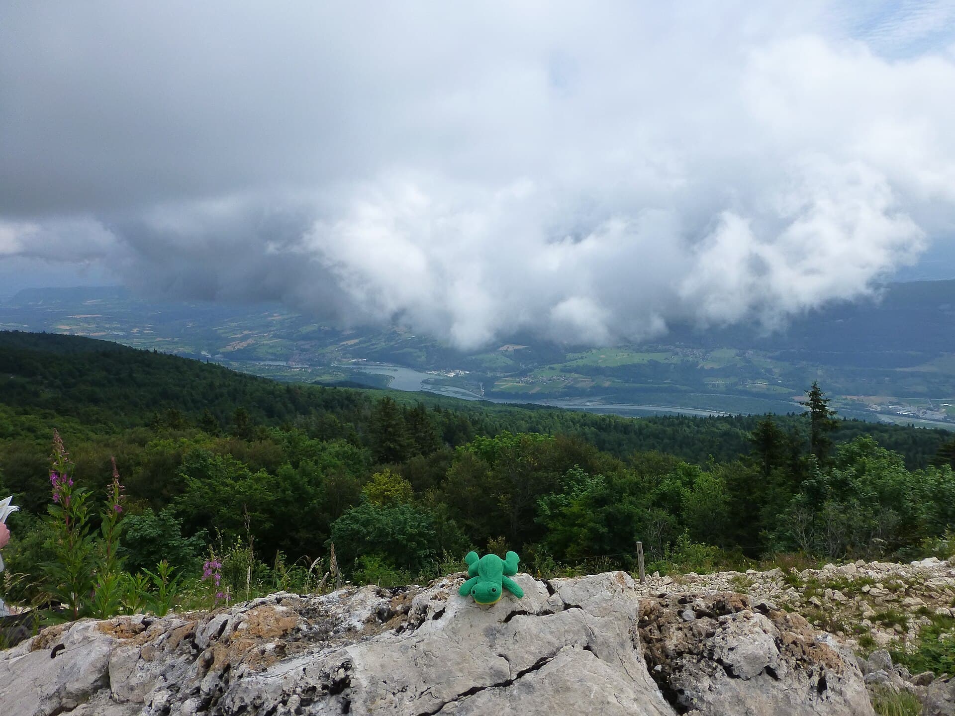Žába on top of Grand Colombier - panoramio