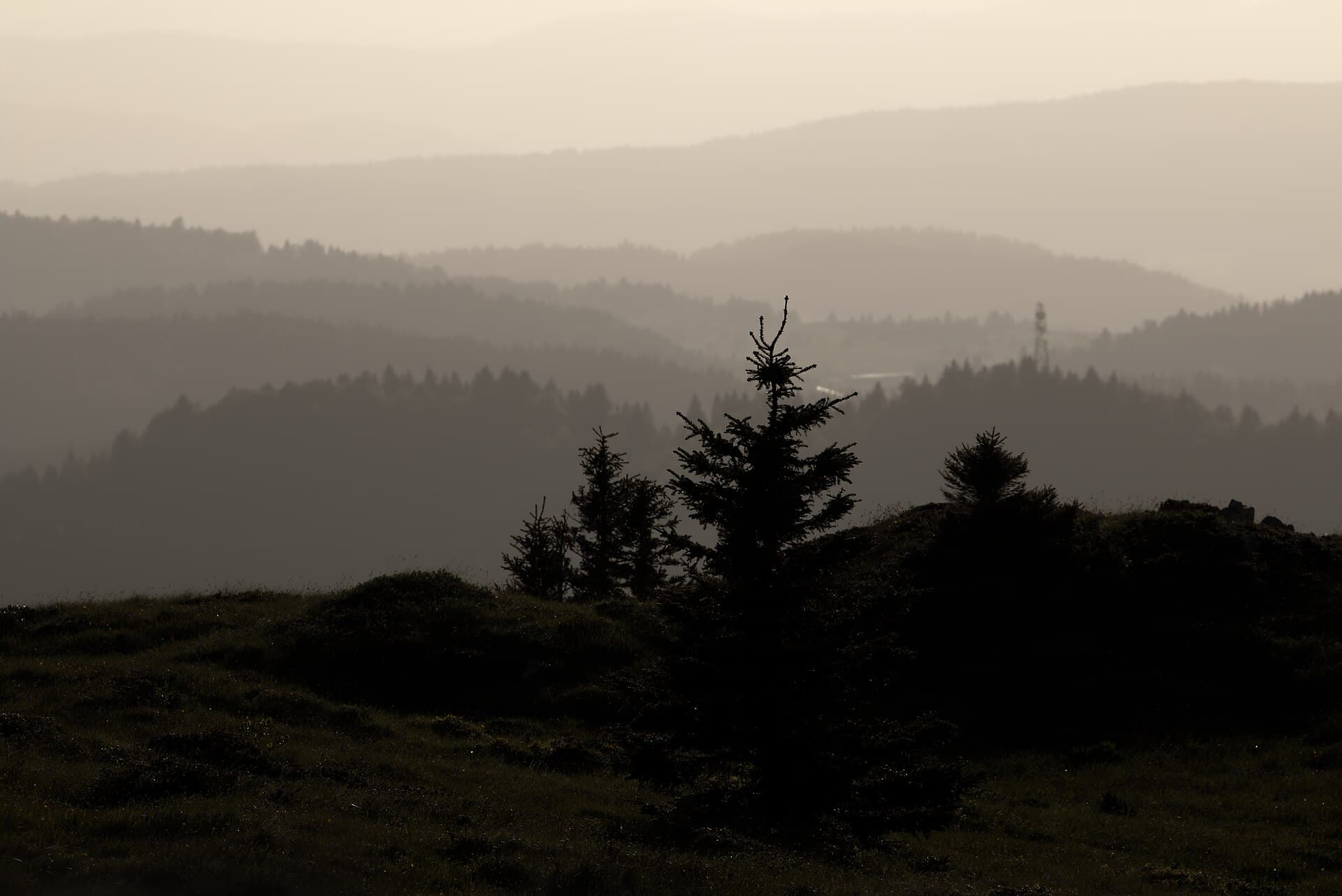 Lignes de crêtes (14207686878)
