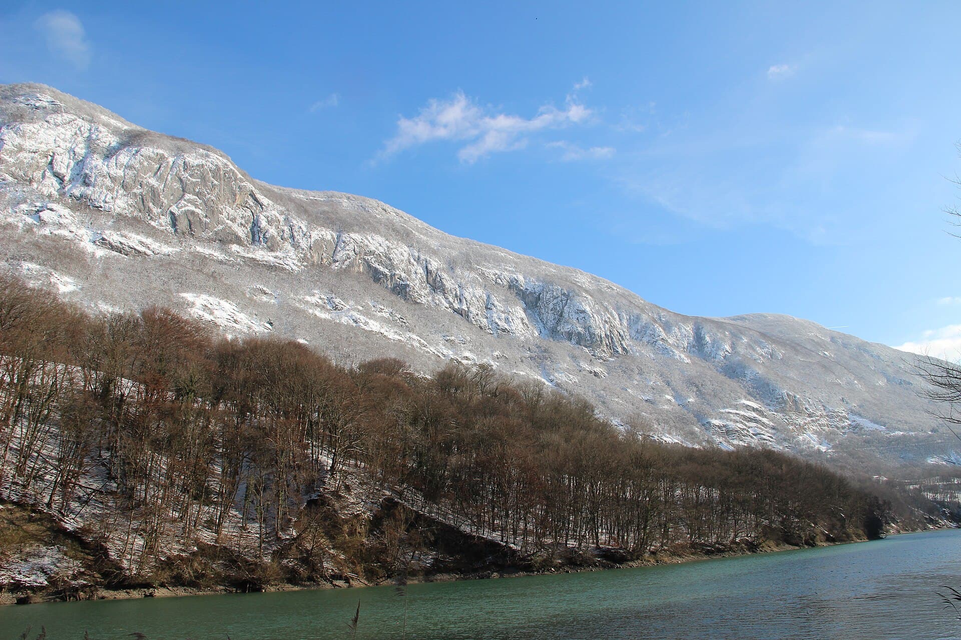 Rhône near Léaz - panoramio (4)