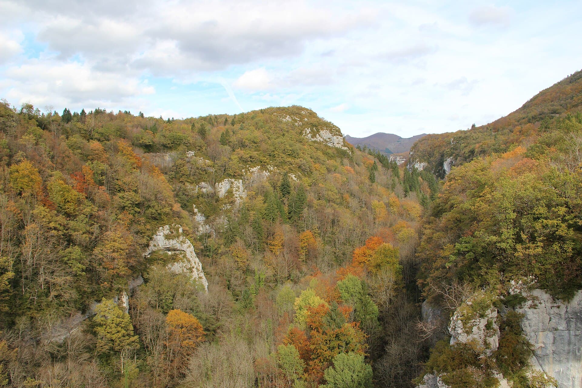 Gorges de la Valserine (13466425505)