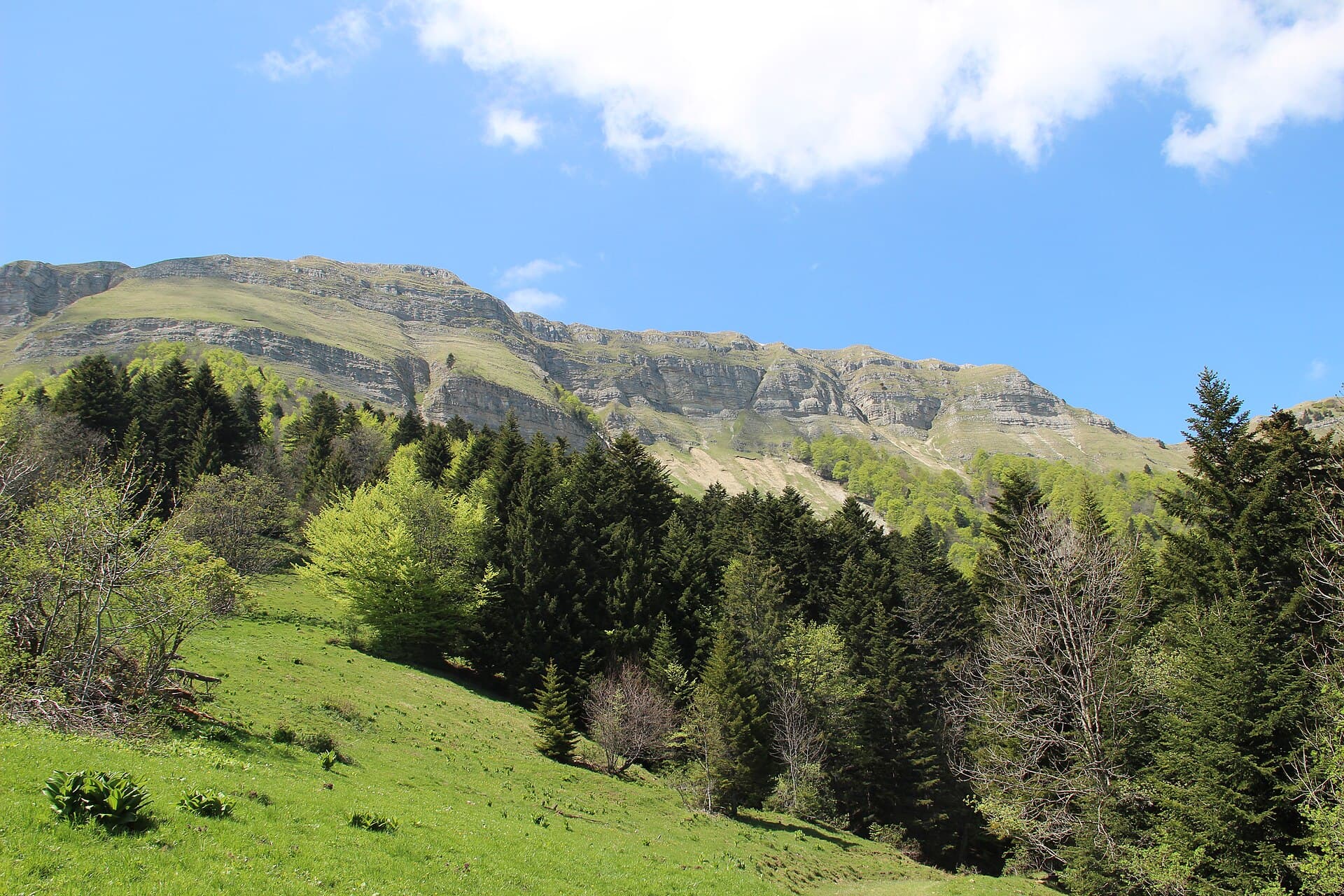Scenic view at the Creux de l'Envers - panoramio (6)