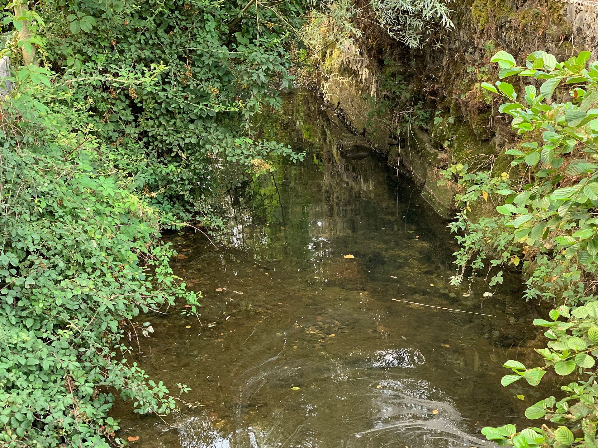 Rivière Doye Nantua 3