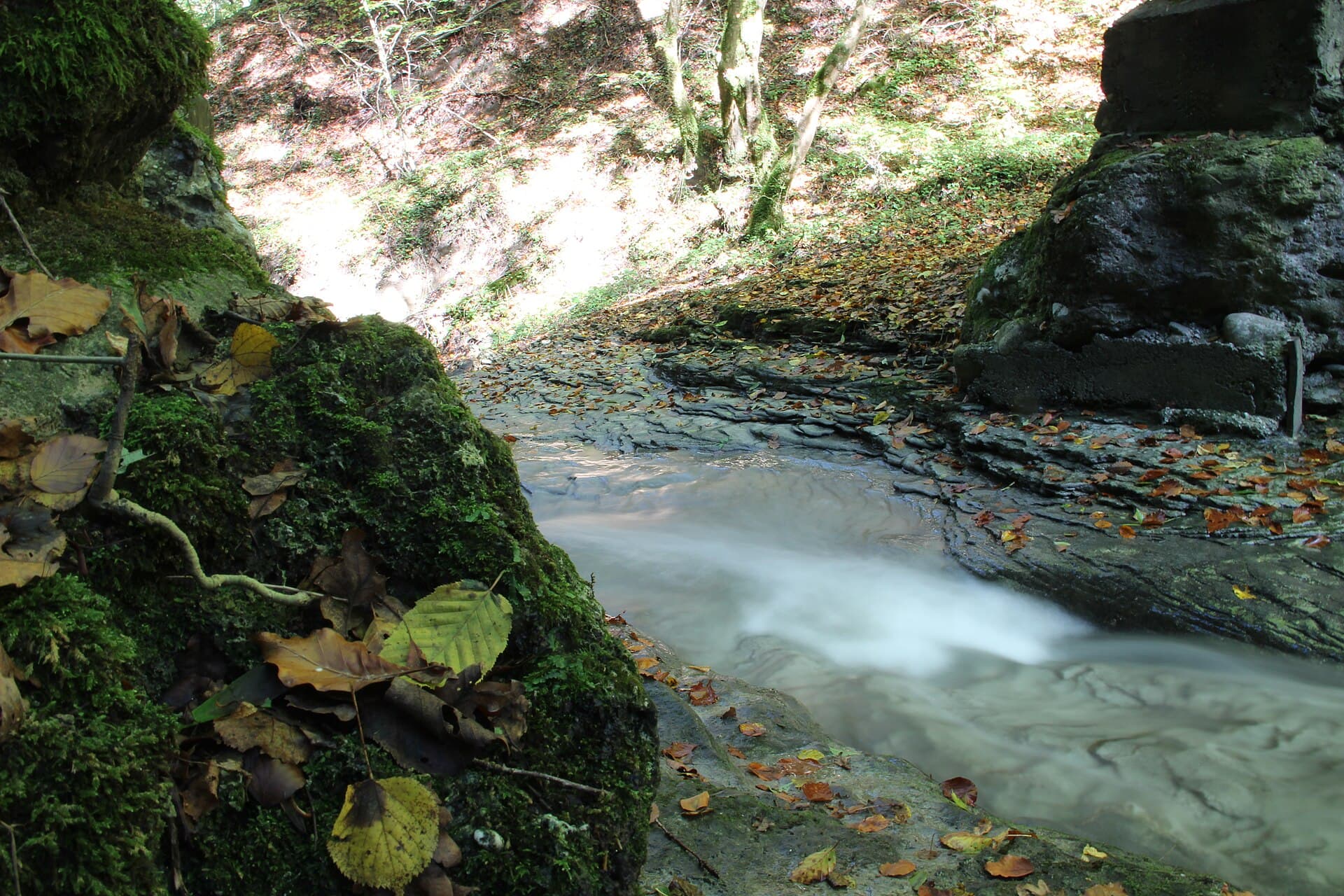 Ruisseau de Parnant - panoramio (3)