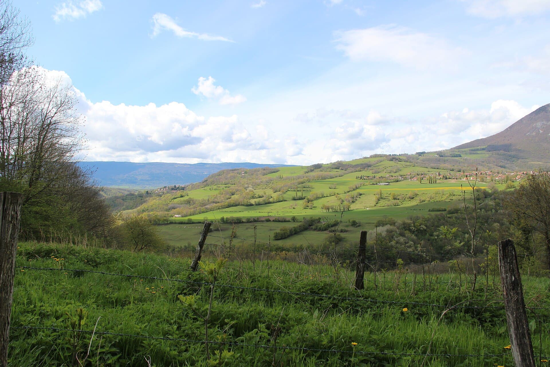 Scenic view near Arcine - panoramio