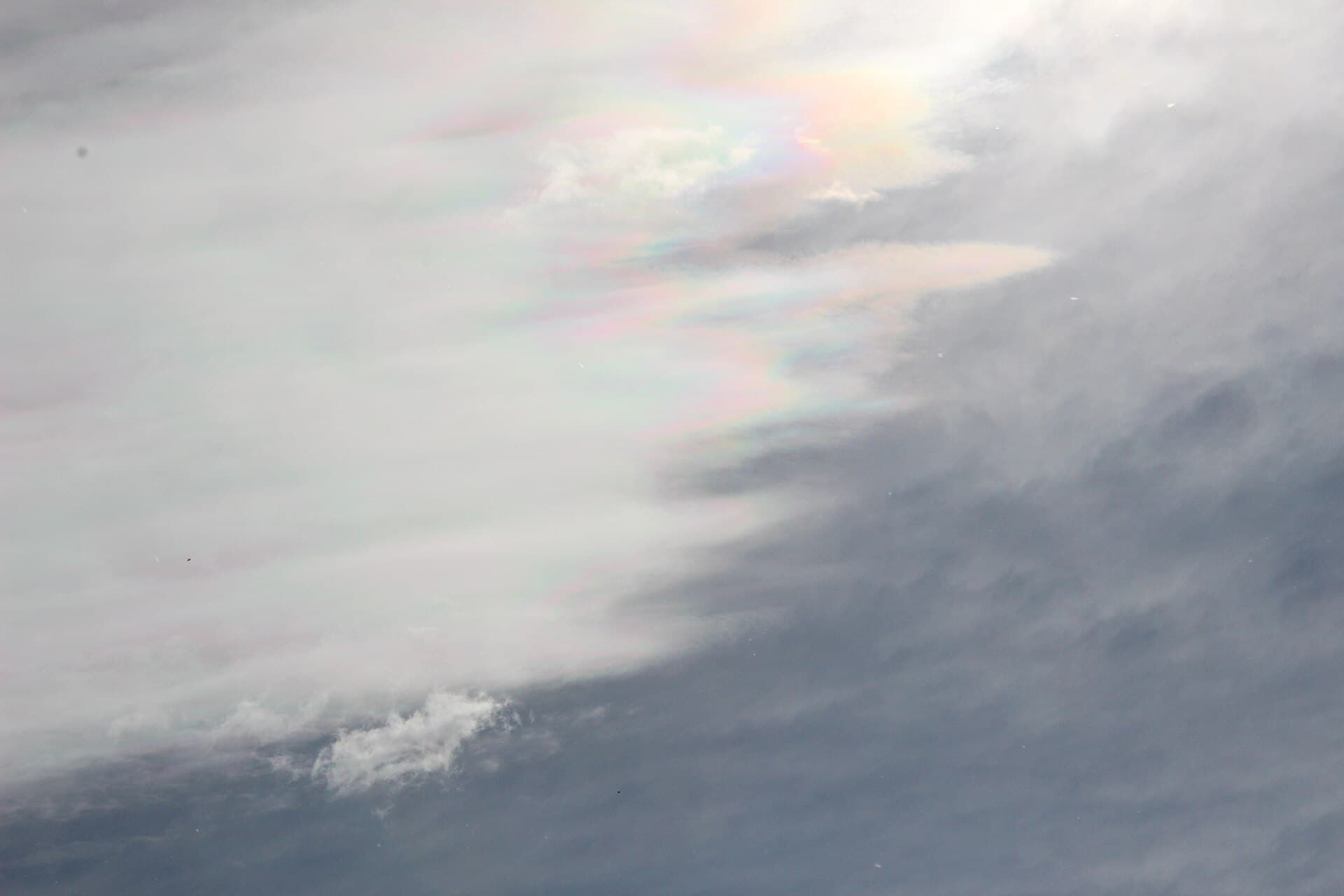 Iridescent cloud - panoramio