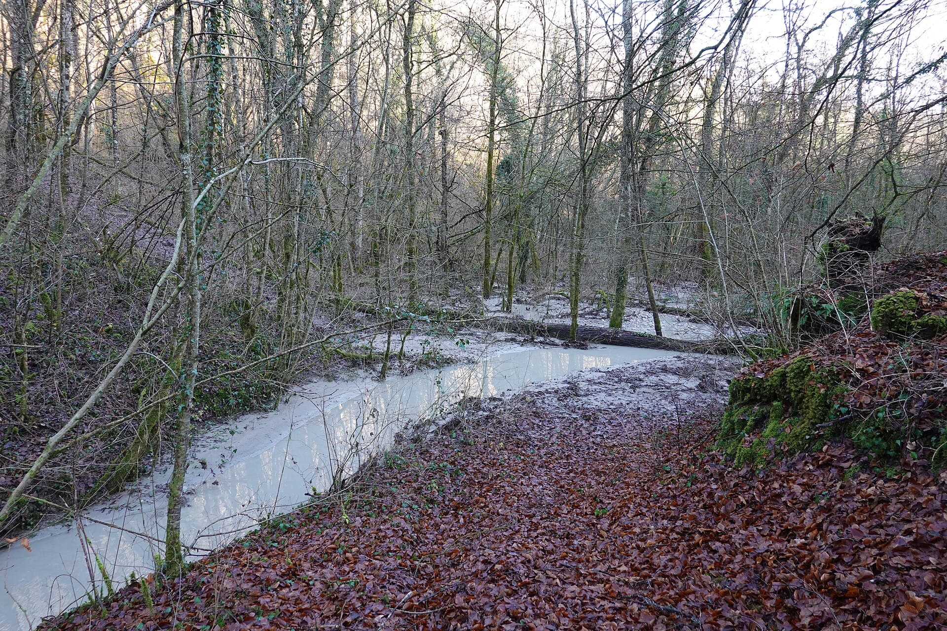 Mud @ Flooded trail @ Les Berges du Rhône (49807287802)