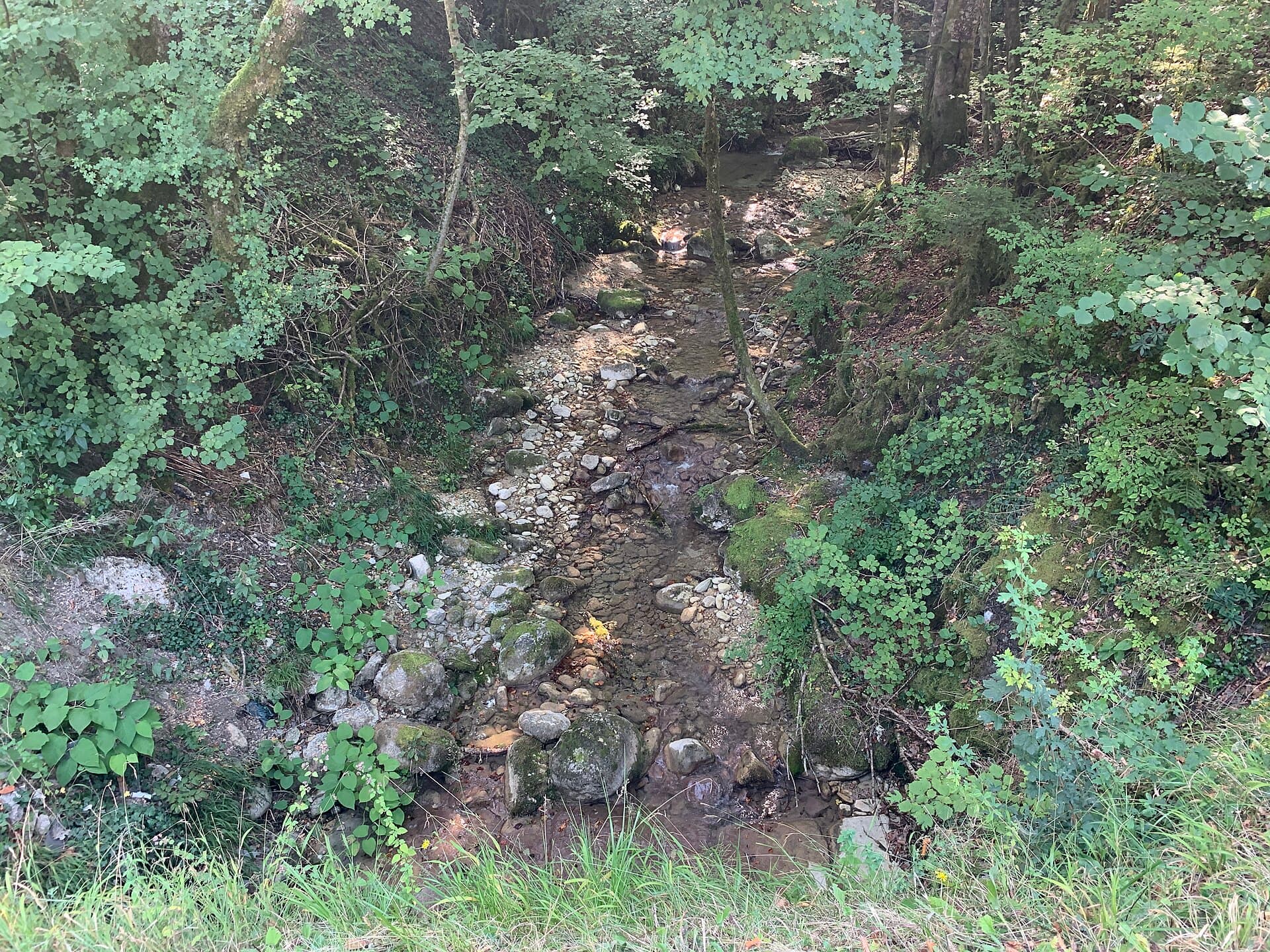 Rivière Arvière - Lochieu - Arvière-en-Valromey (FR01) - 2020-09-13 - 1