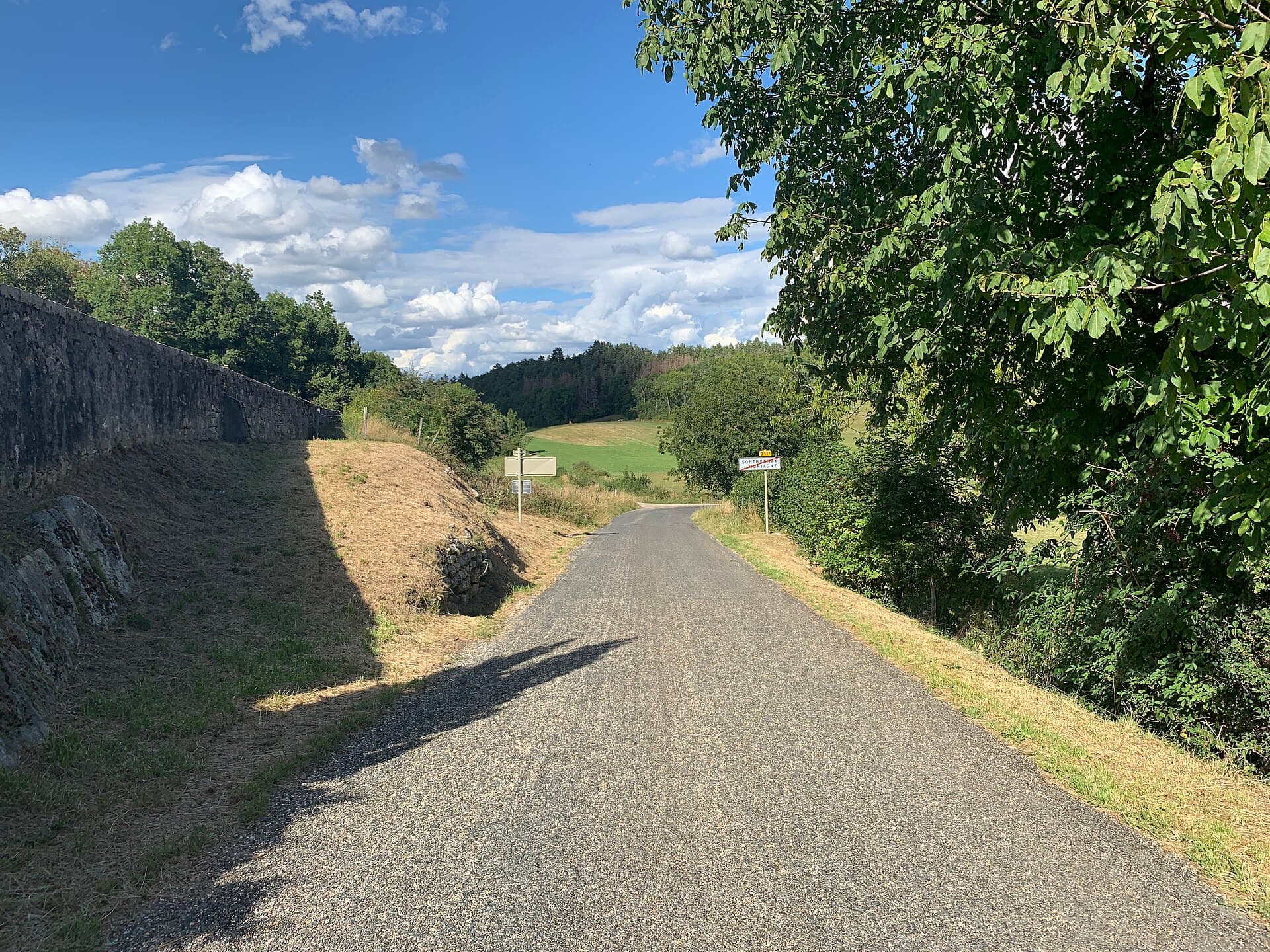 Route D11d - Sonthonnax Montagne - 2020-08-18 - 3