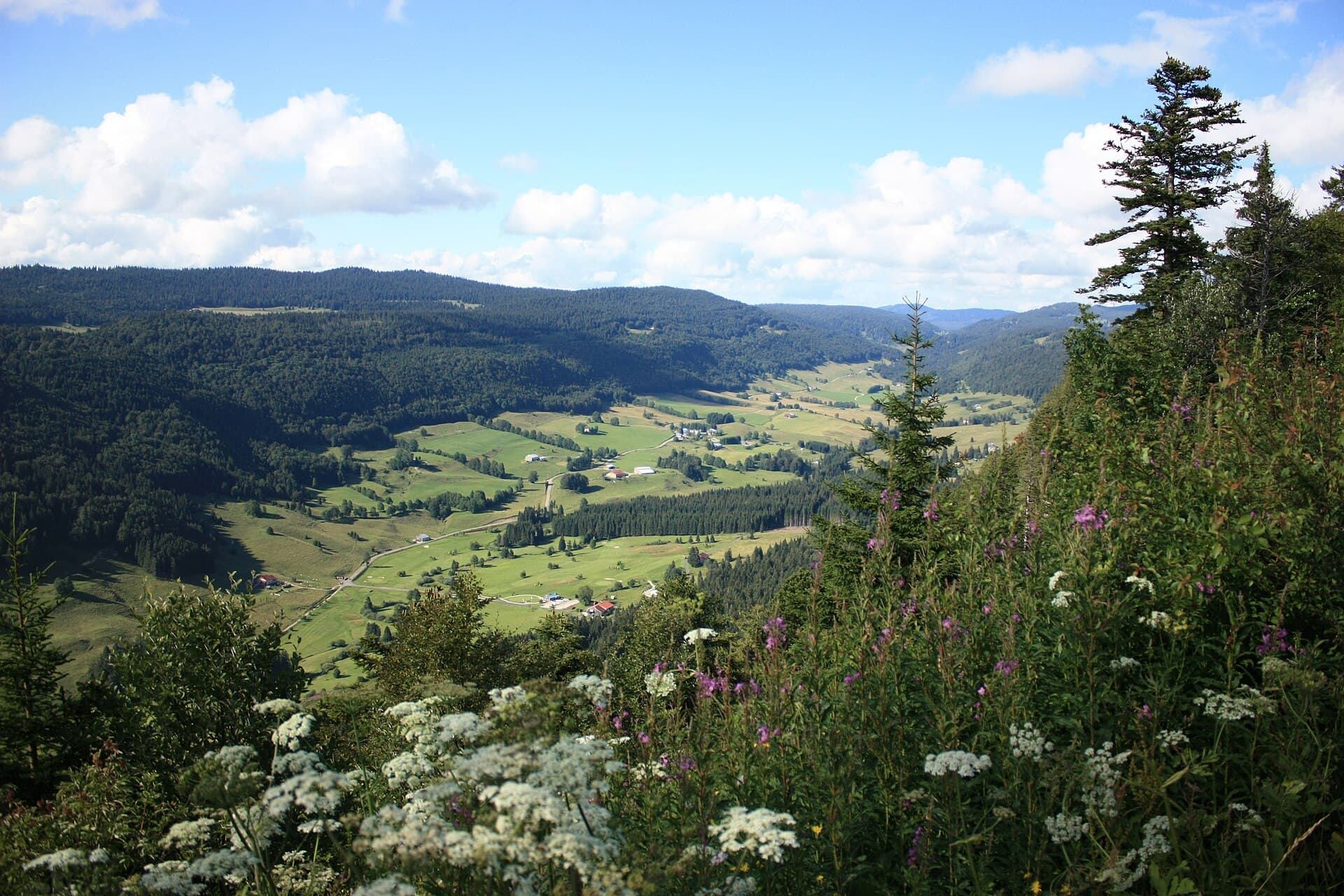 Vallée de la Valserine et massif du massacre