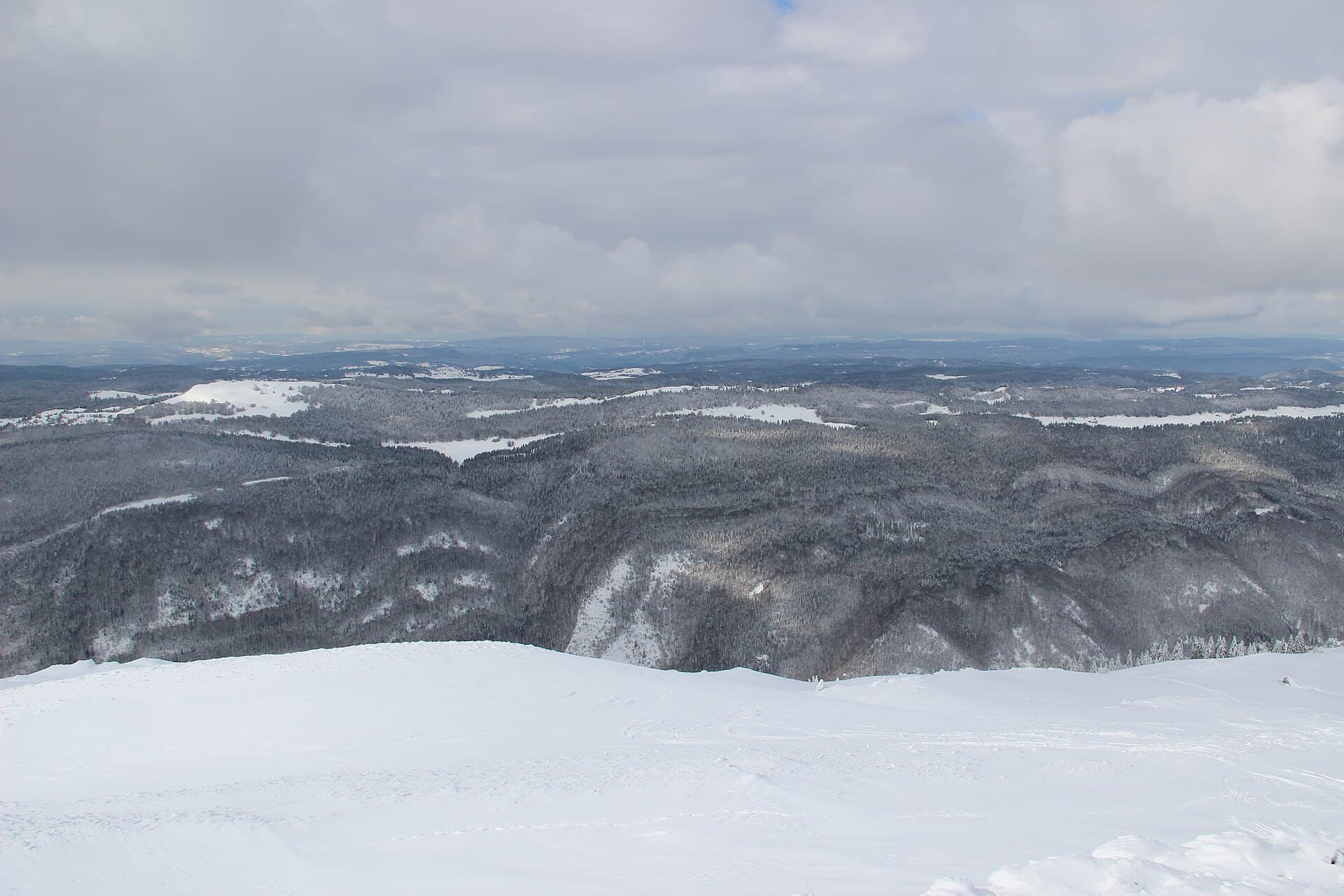View onto the Vallée de la Valserine from Le Reculet - panoramio (1)