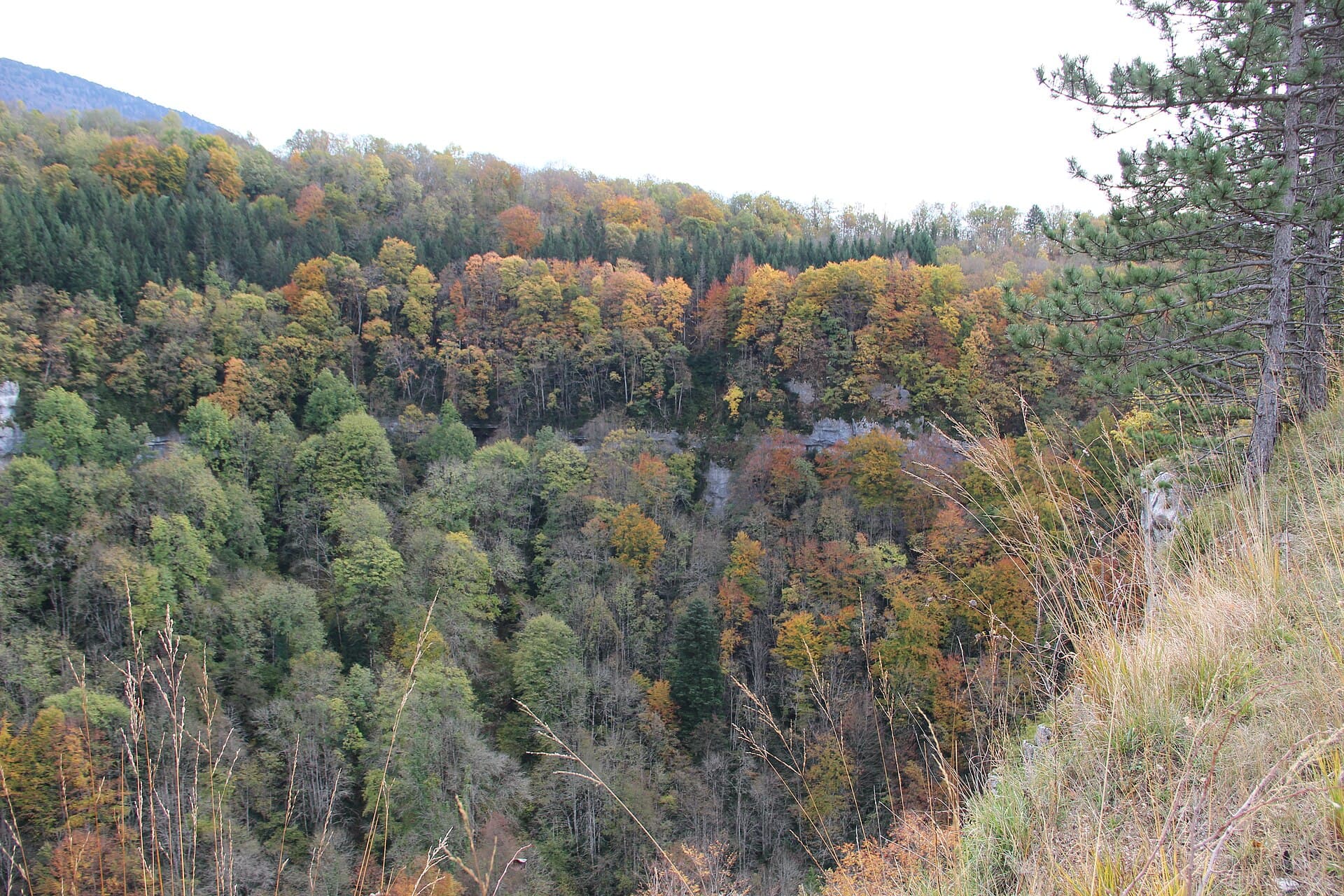 Gorges de la Valserine (13466549313)
