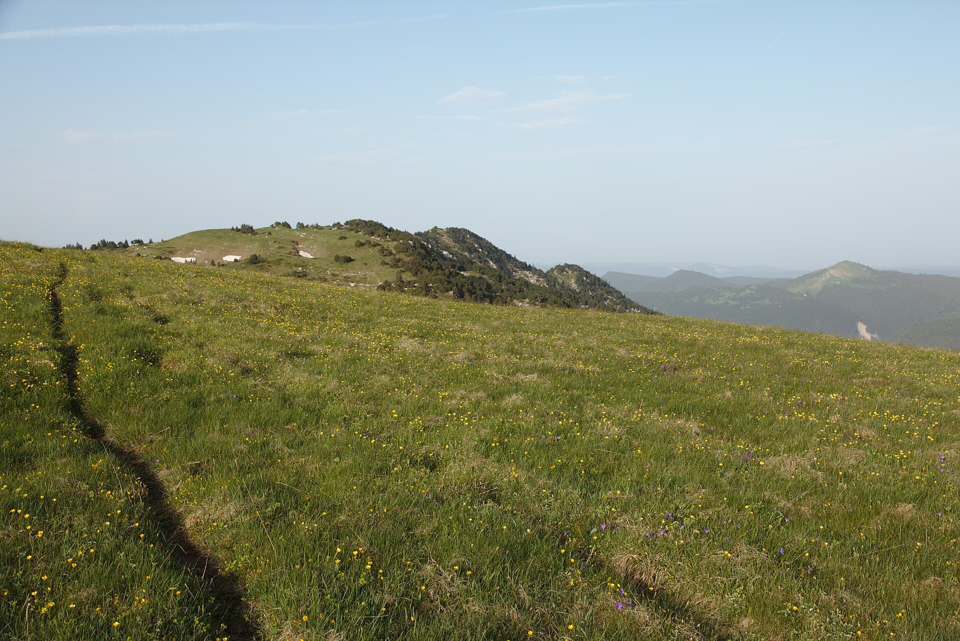 Crêt de la Neige (14208109770)