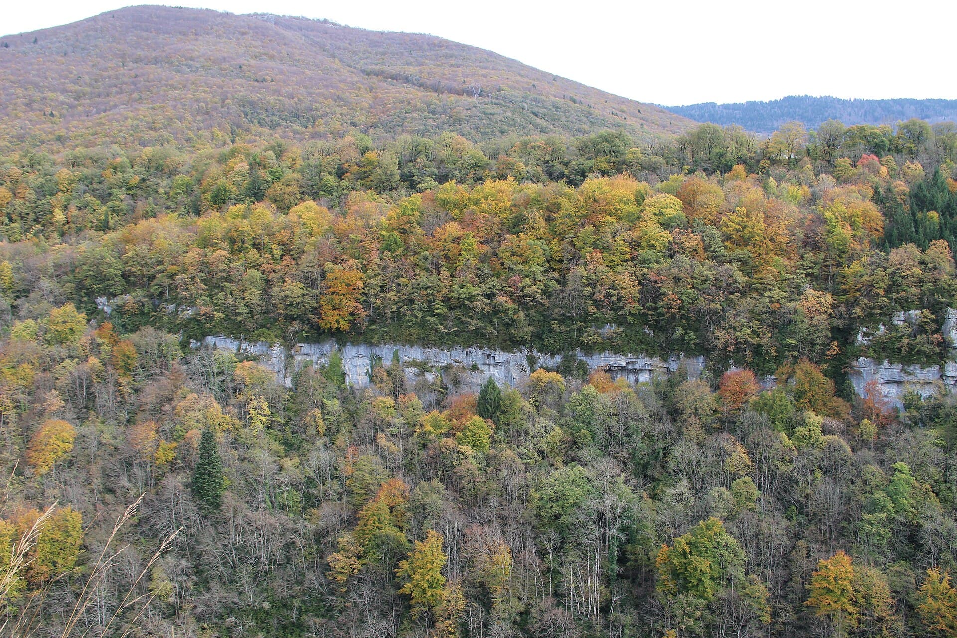 Gorges de la Valserine (13466551293)