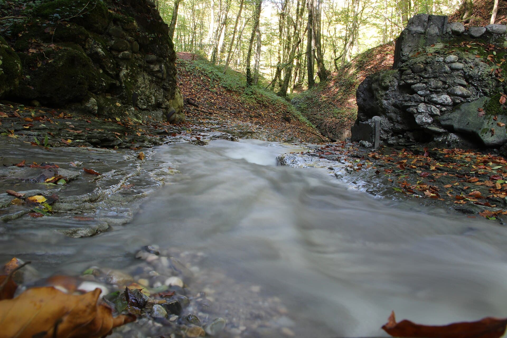 Ruisseau de Parnant - panoramio (4)