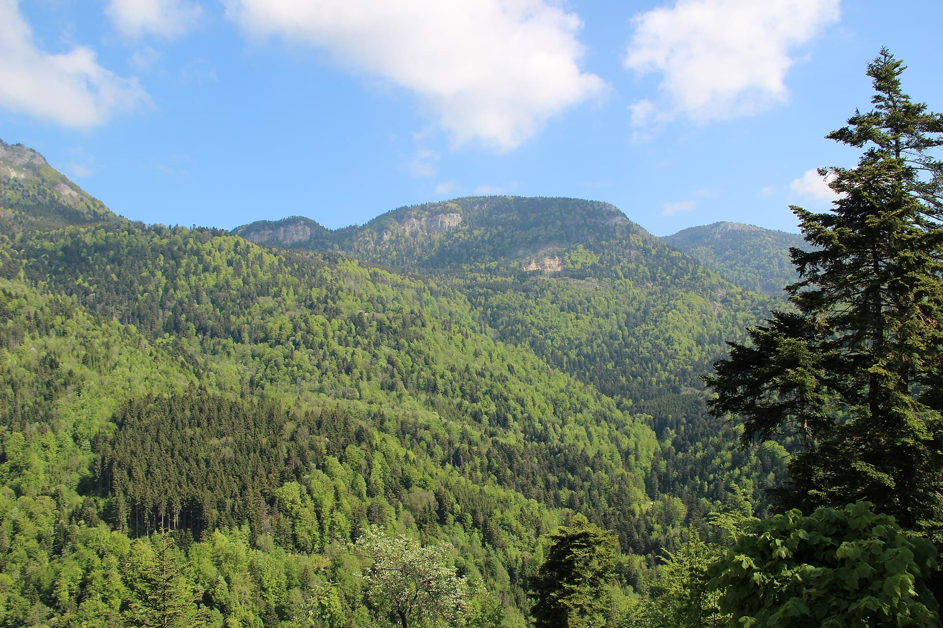 Scenic view at the Creux de l'Envers - panoramio (4)