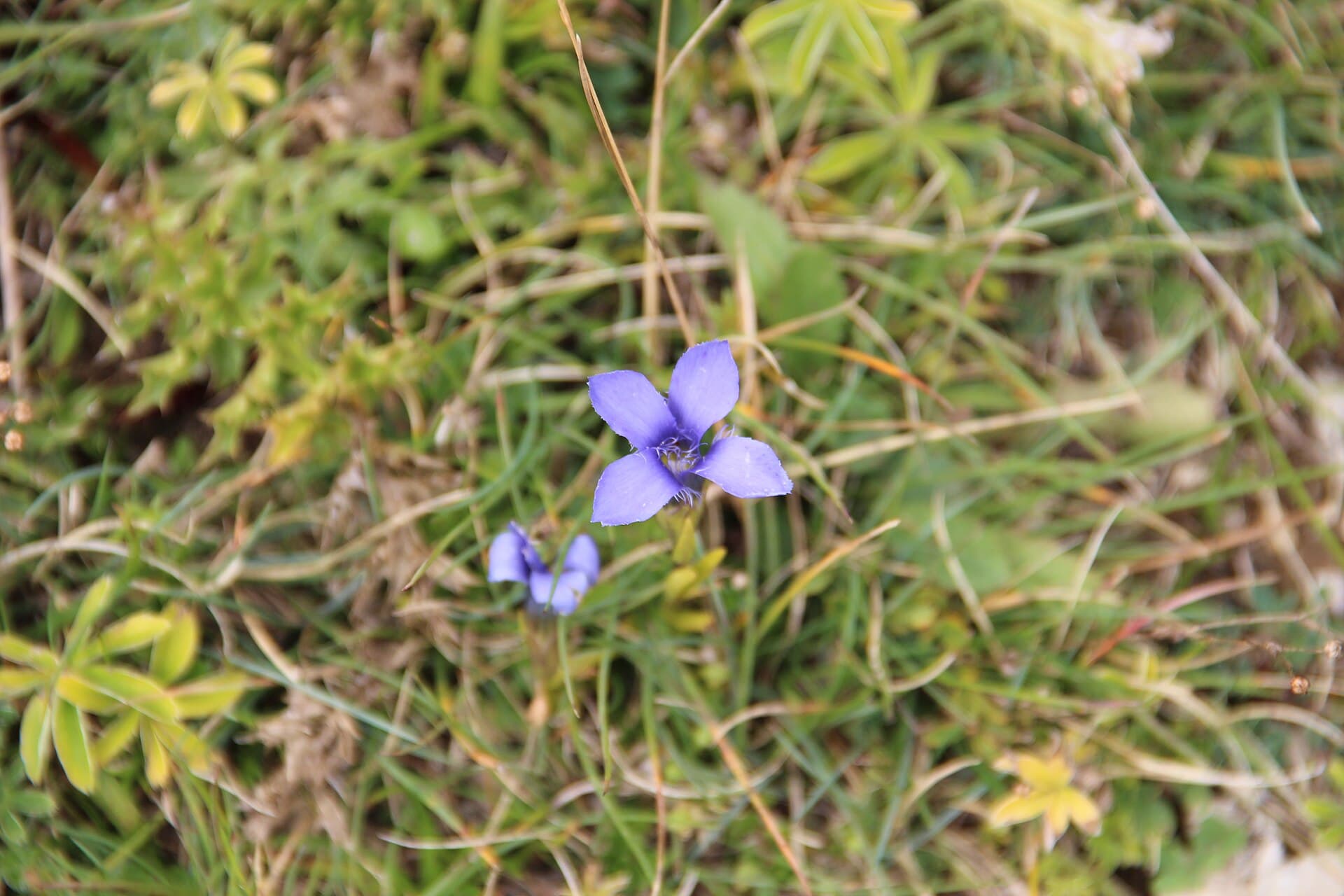 Unnamed - panoramio (2268)