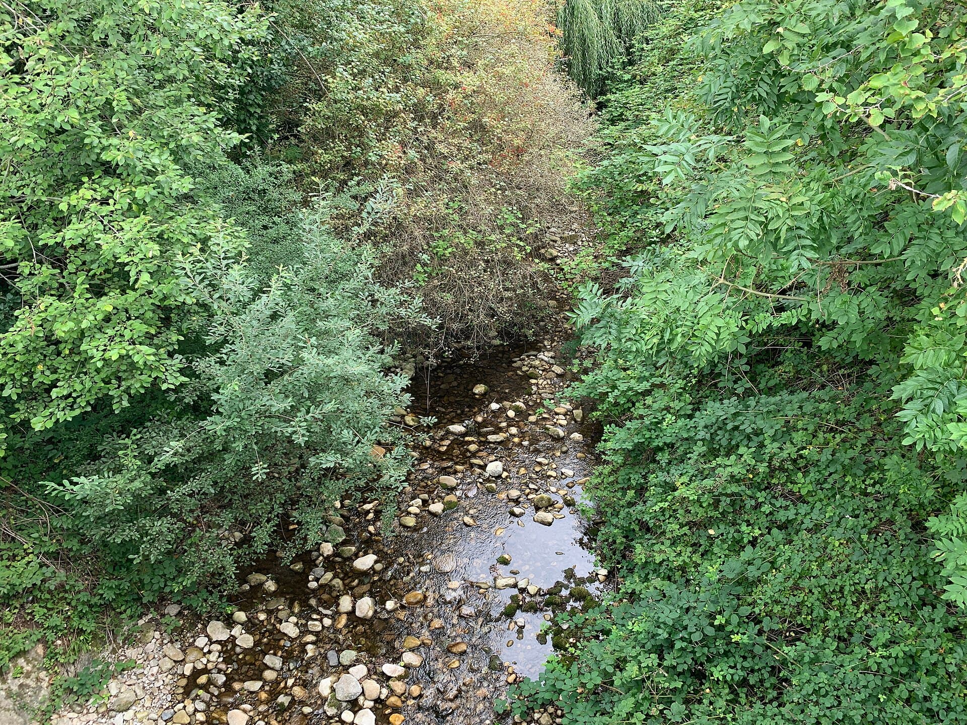 Rivière Allondon Crozet Ain 2