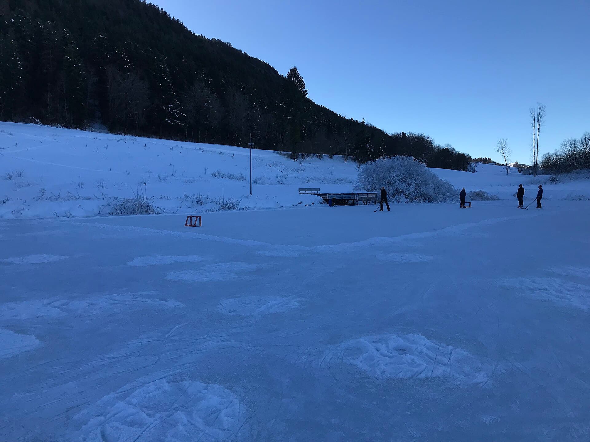 Étang de Lalleyriat, Le Poizat-Lalleyriat, hiver, 2024 (hockey-sur-glace)
