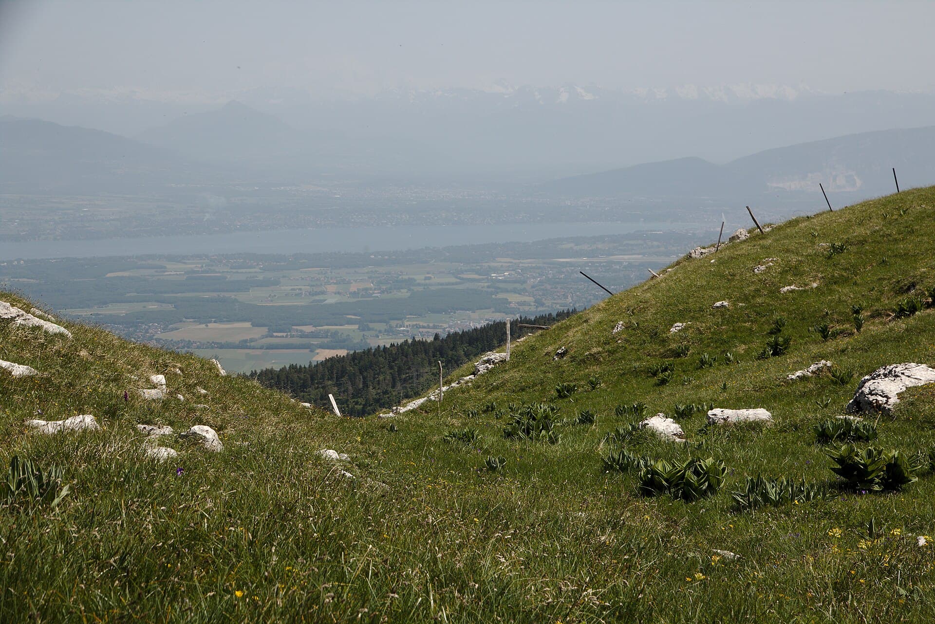 Aperçu du lac (14414179513)