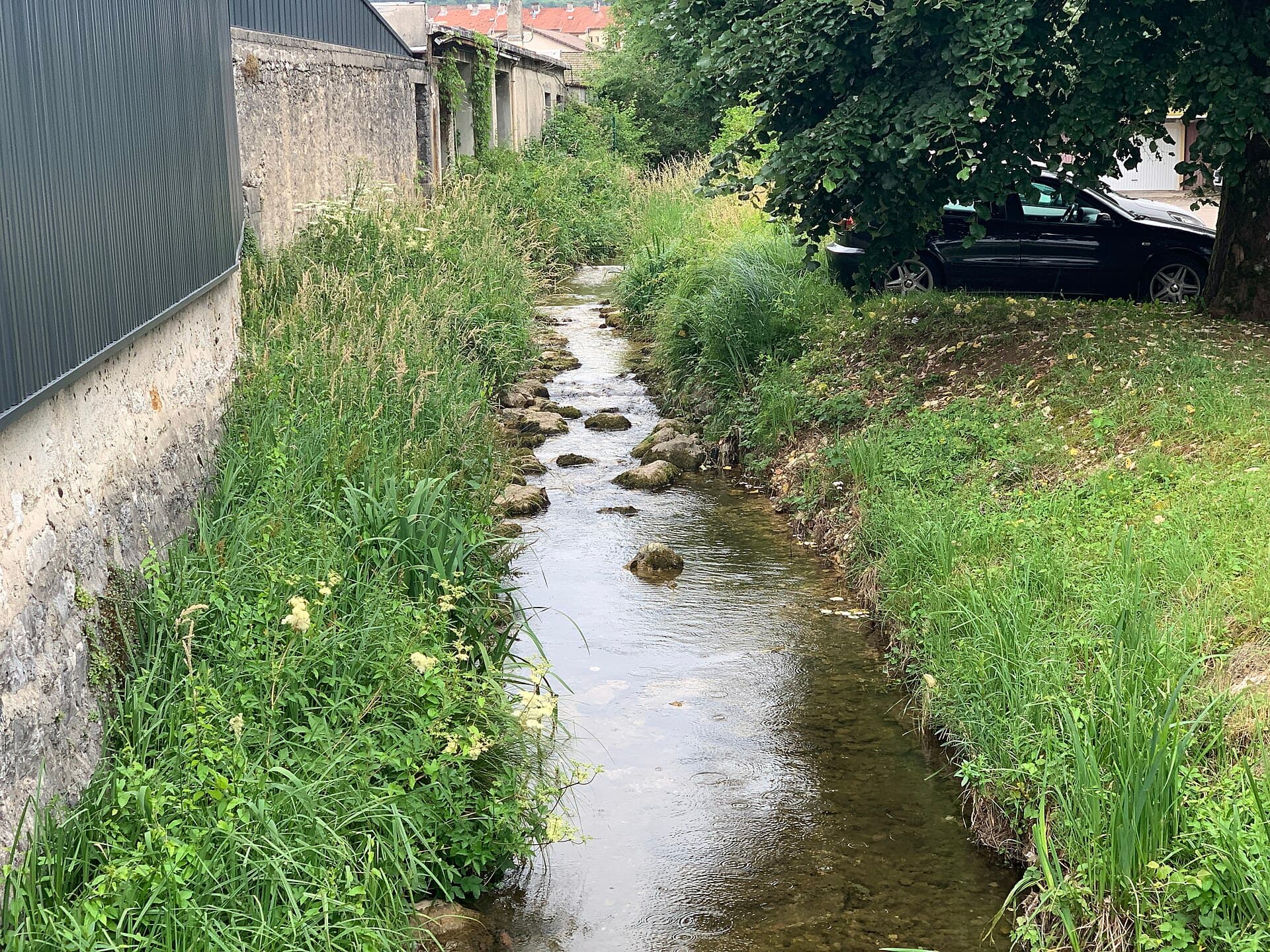 Rivière Sarsouille - Oyonnax (FR01) - 2021-07-03 - 2
