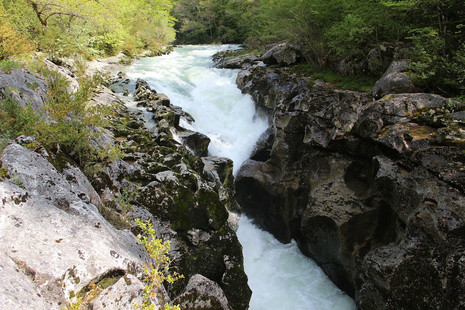 Pertes de la Valserine - panoramio (16)