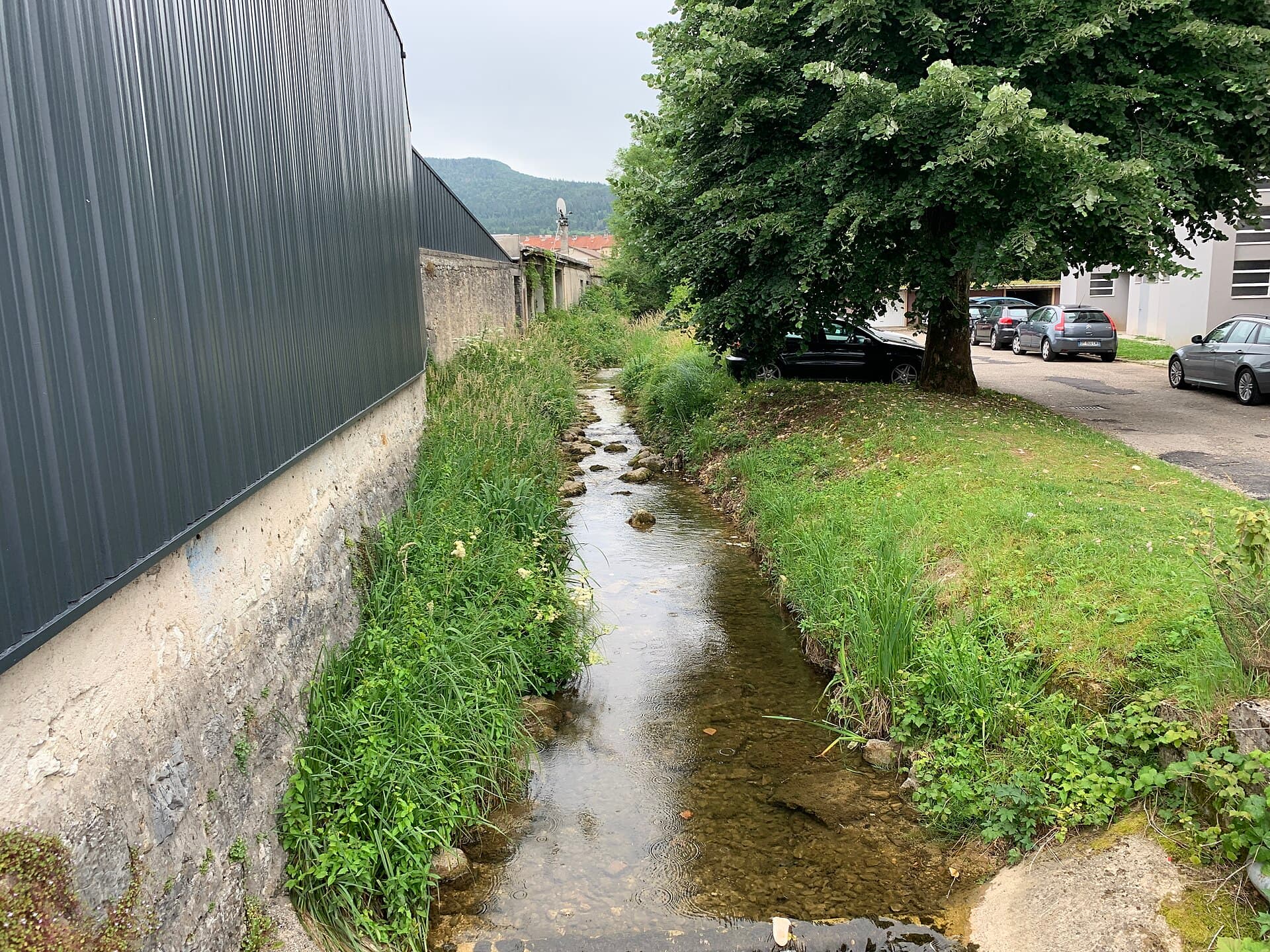 Rivière Sarsouille - Oyonnax (FR01) - 2021-07-03 - 1
