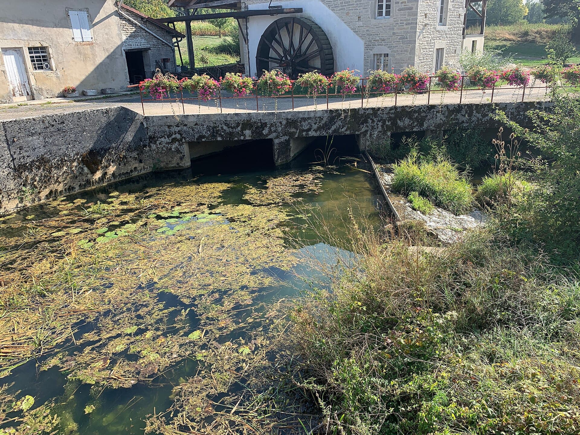 Rivière Suran - Germagnat - Nivigne-et-Suran (FR01) - 2020-09-18 - 3