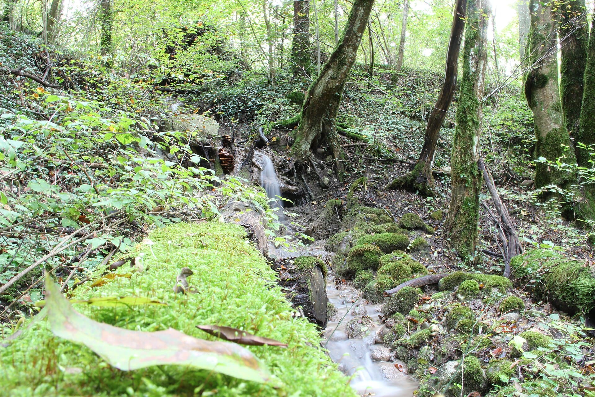 Little river near Le Moulin - panoramio (1)