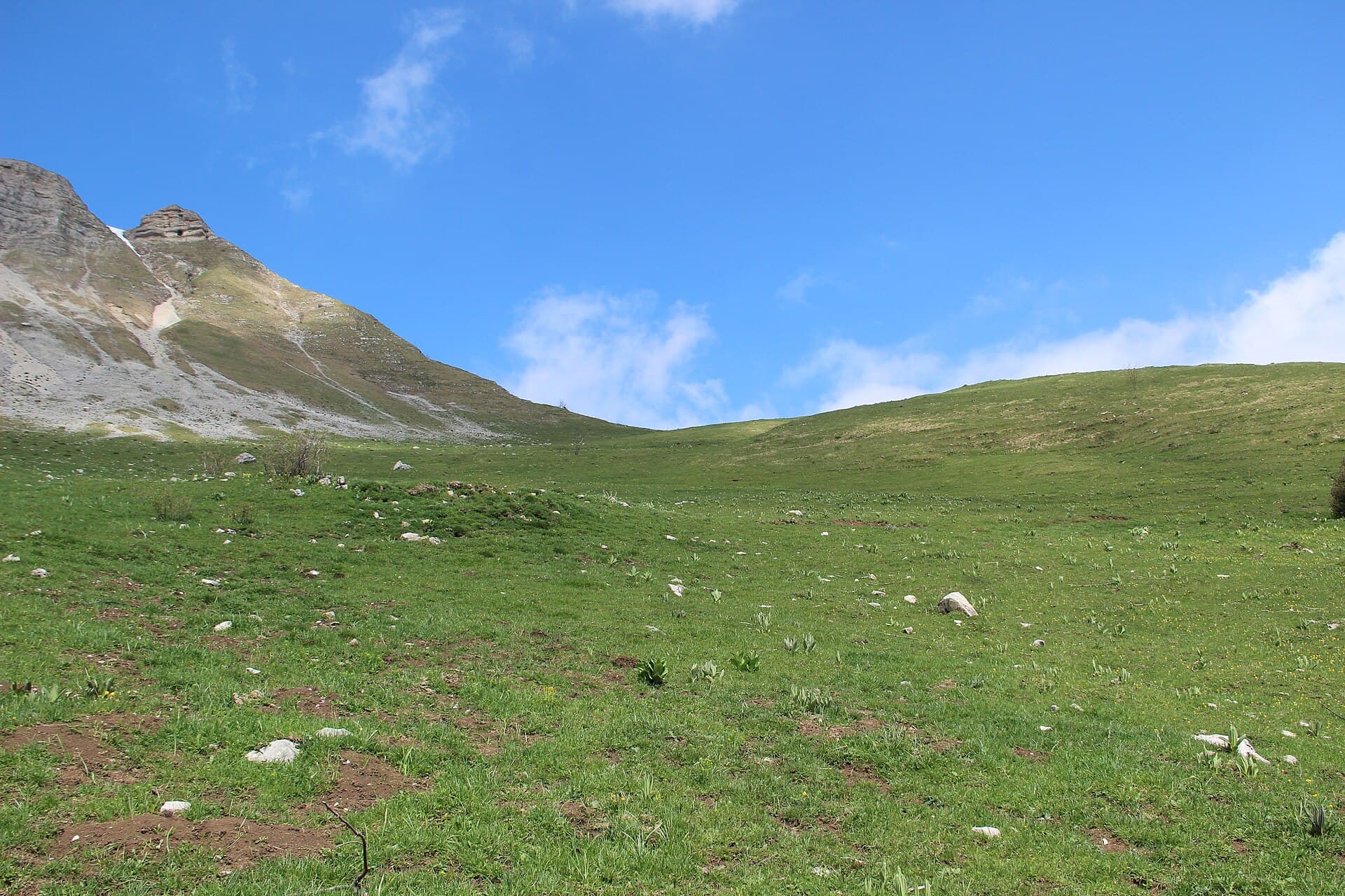 Scenic view at the Creux de Branveau - panoramio (4)