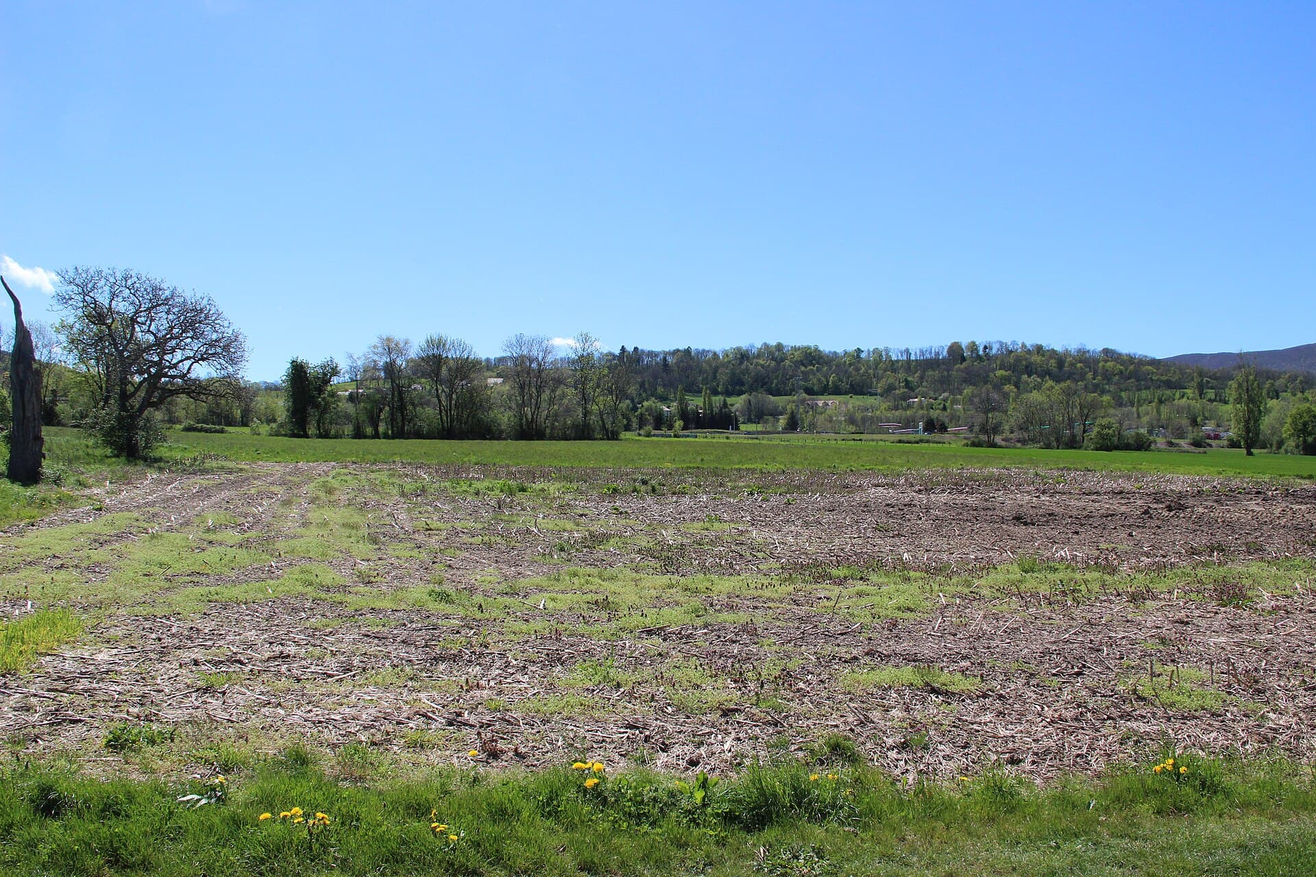 Scenic view near Valleiry - panoramio