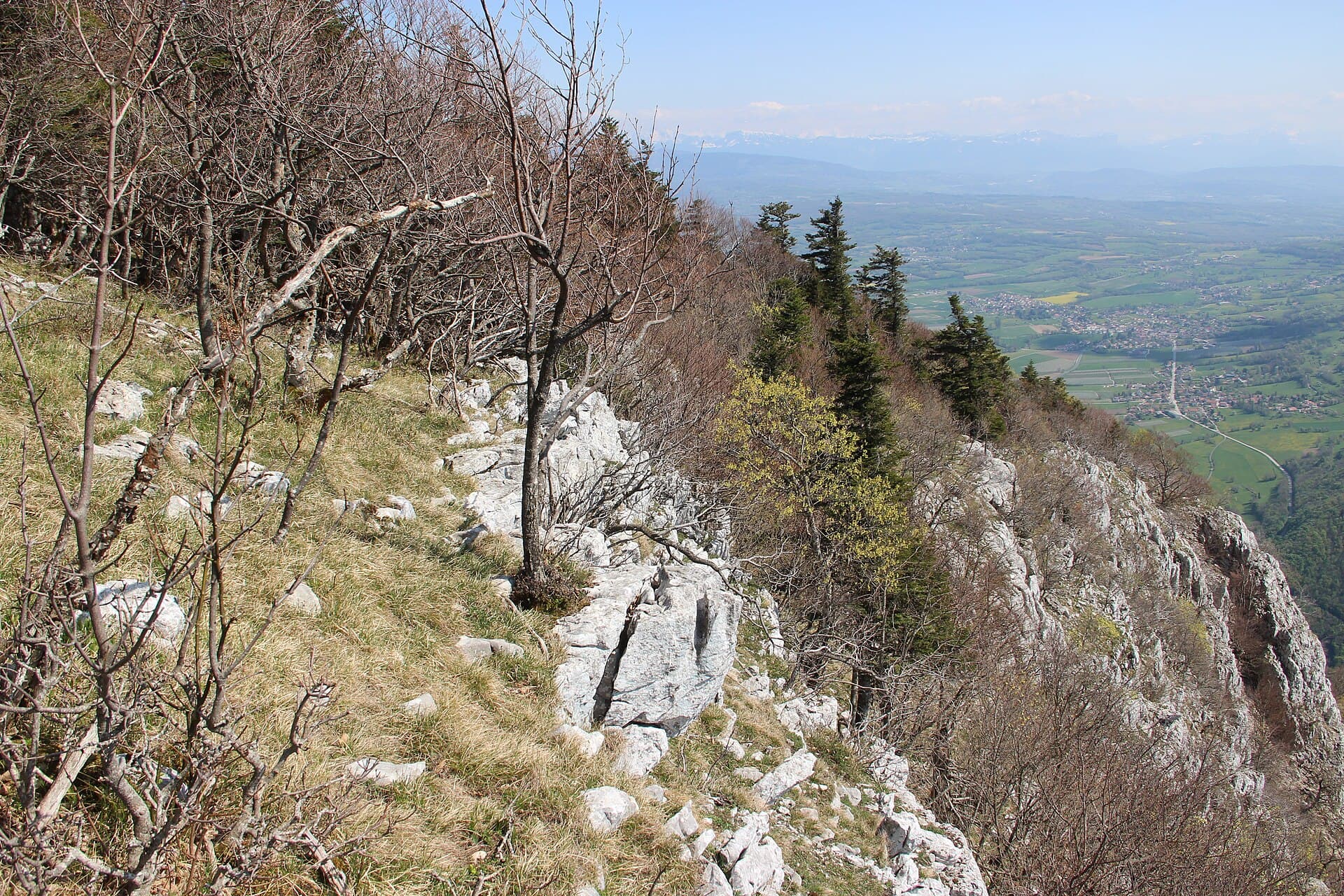 Scenic view at Le Plat des Roches - panoramio