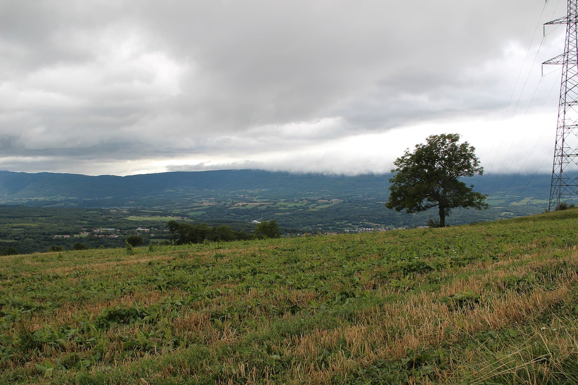 View on the Rhône valley near Bellegarde - panoramio (3)